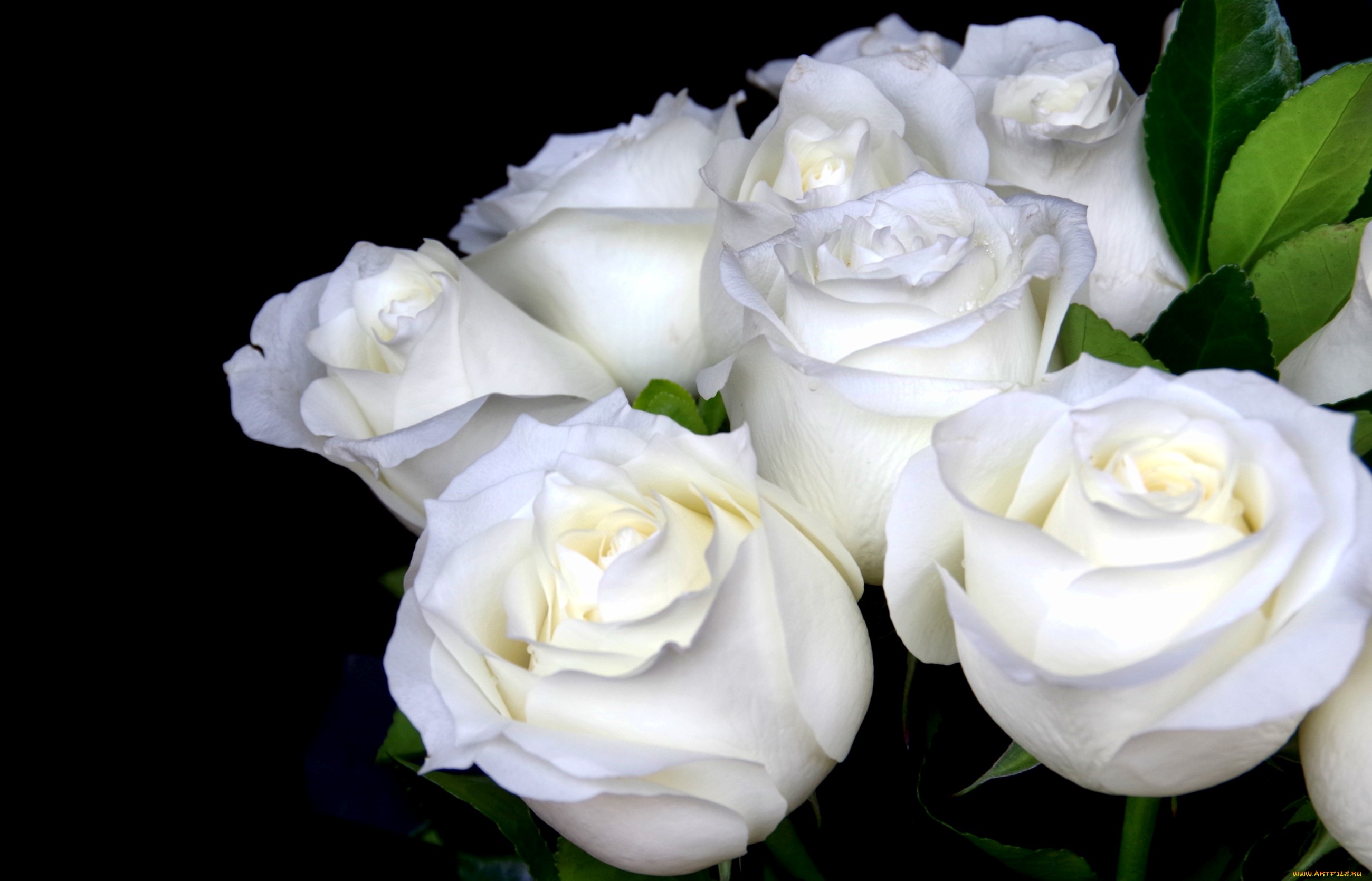 букет розы белые загрузить