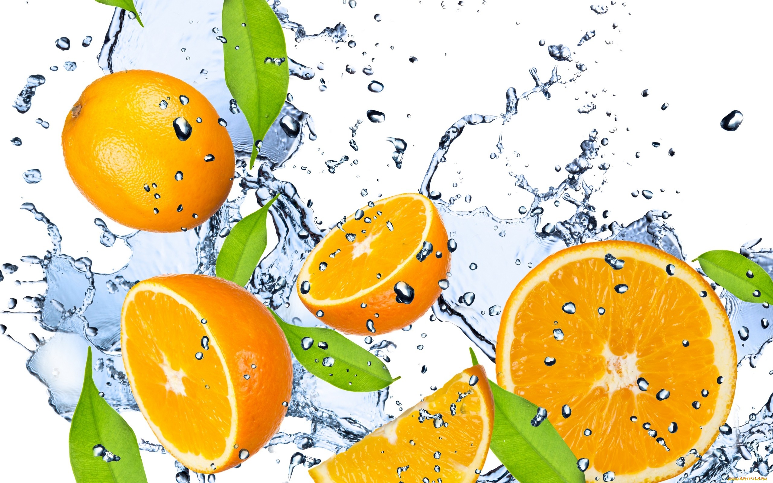 Обои вода, капли, свежесть, фрукты, апельсины, брызги, оранжевые, цитрусы, water, drops, freshness, fruit, oranges, squirt, orange, citrus разрешение 2560x1600 Загрузить