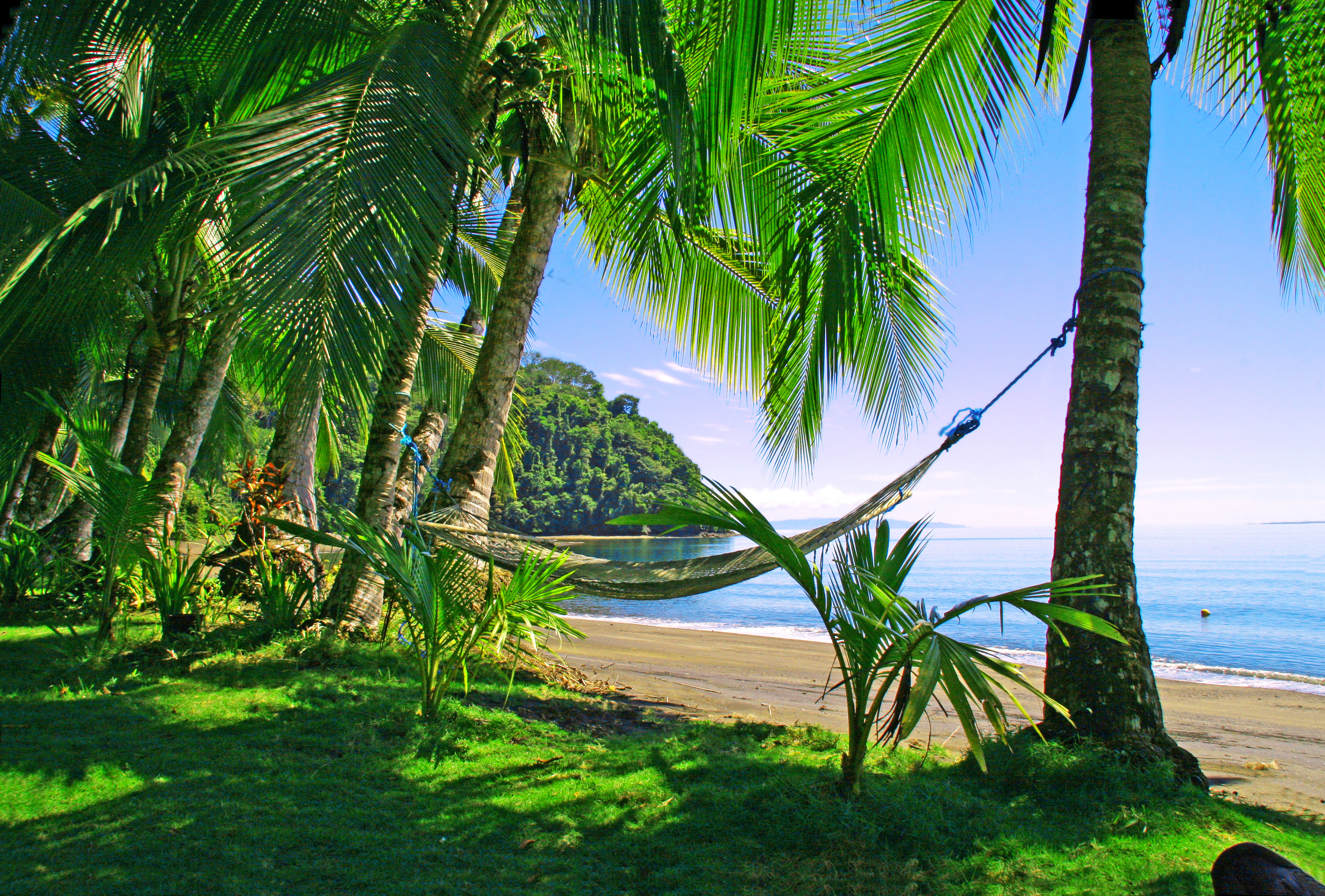 Тропики 2. Пляж Мансанильо, Коста-Рика. Коста Рика тропики. Море Коста Рика. Пальмы Коста Рика.