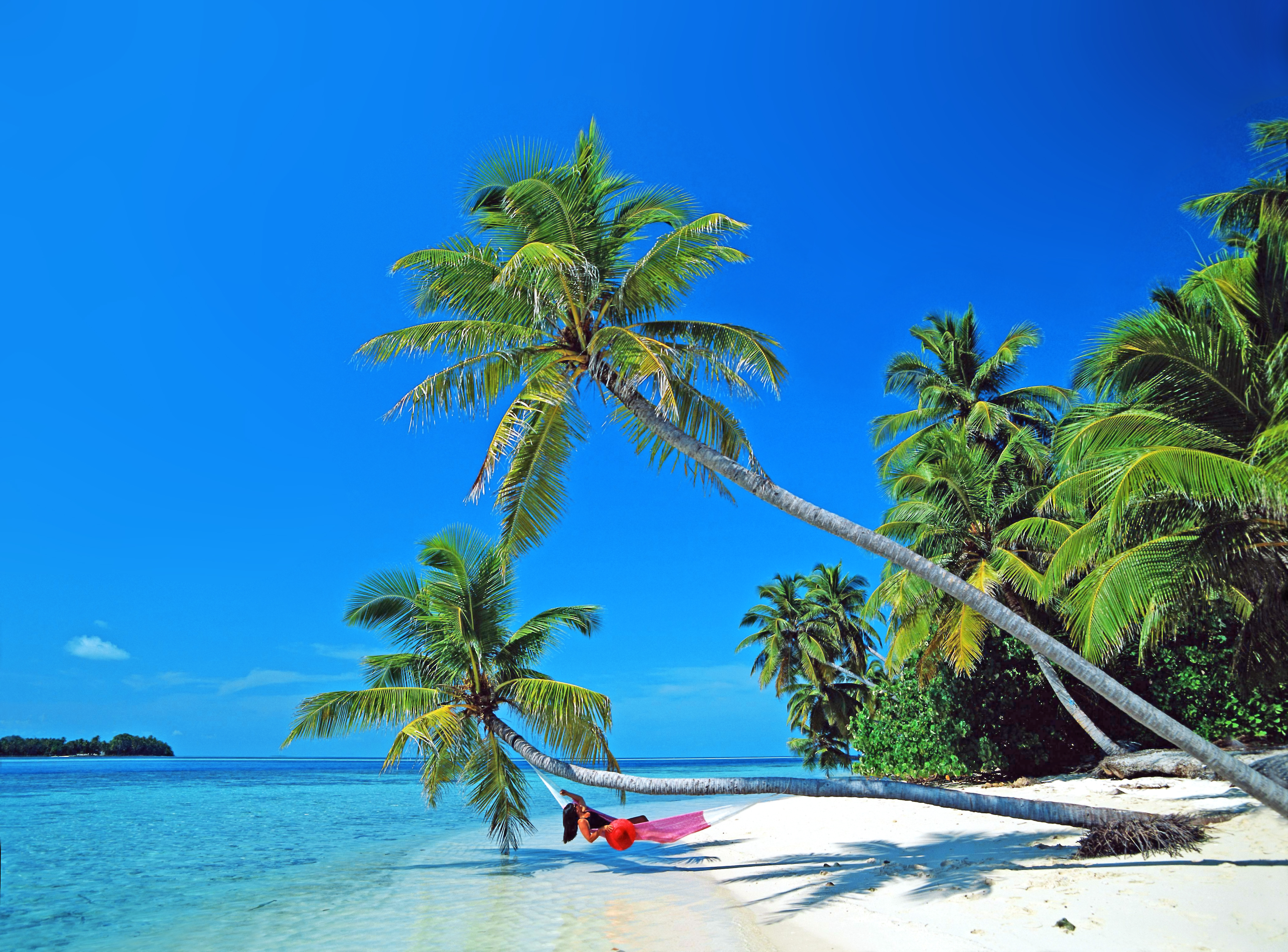 берег пляж гамак пальмы скачать