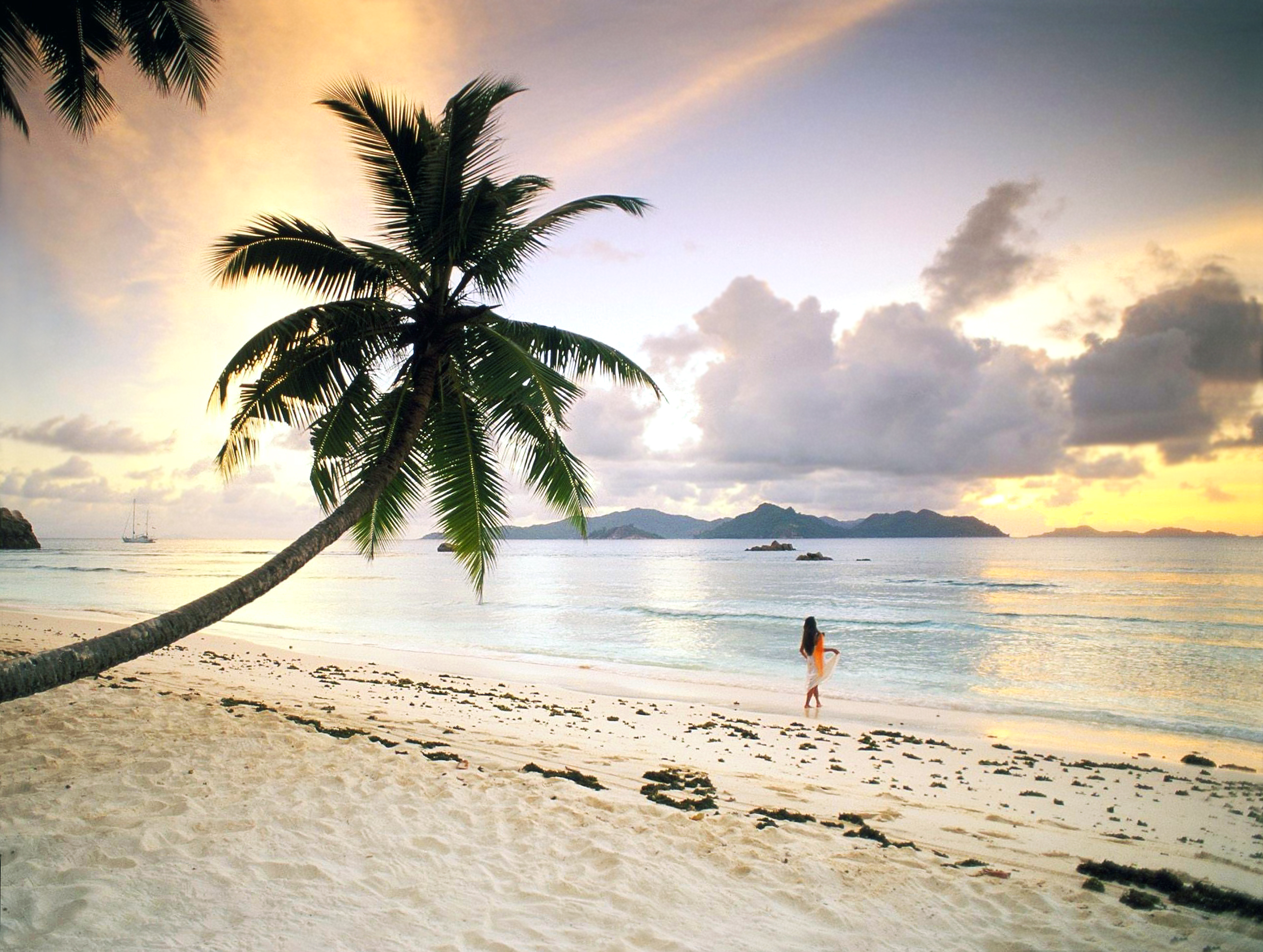 Paradise. Доминикана. Обои пляж. Мальдивы пальмы. Море Райский пляж.