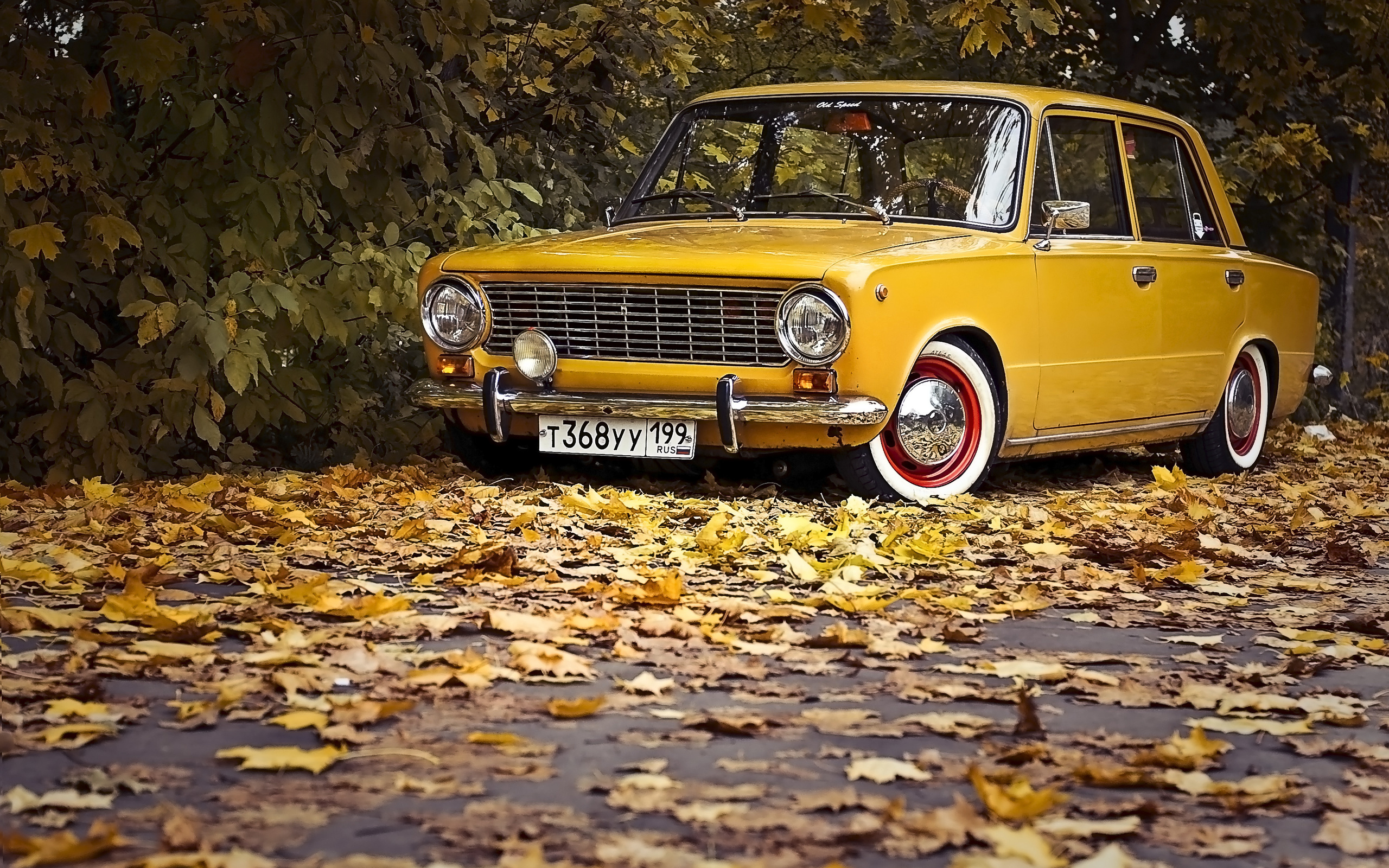 Обои листья, ретро, осень, авто, классика, ваз, 2101, жигули, leaves, retro, autumn, auto, classic, vaz, lada разрешение 2560x1600 Загрузить