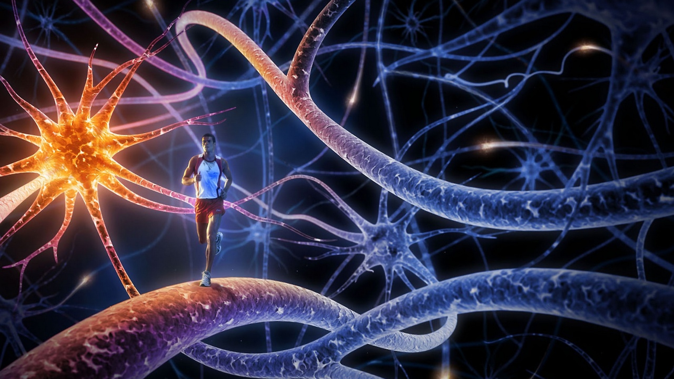Медитация днк. Мозг ДНК. Здоровая нервная система. Нейронные связи. Спорт и нервная система.