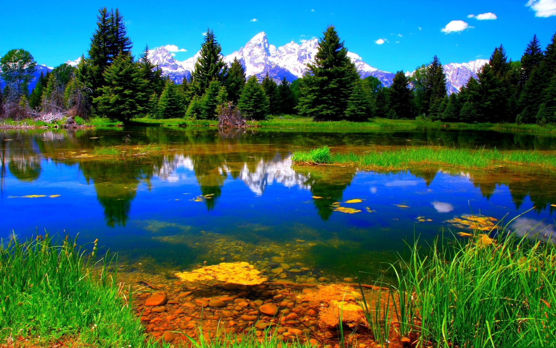 горы, озеро, растительность без смс