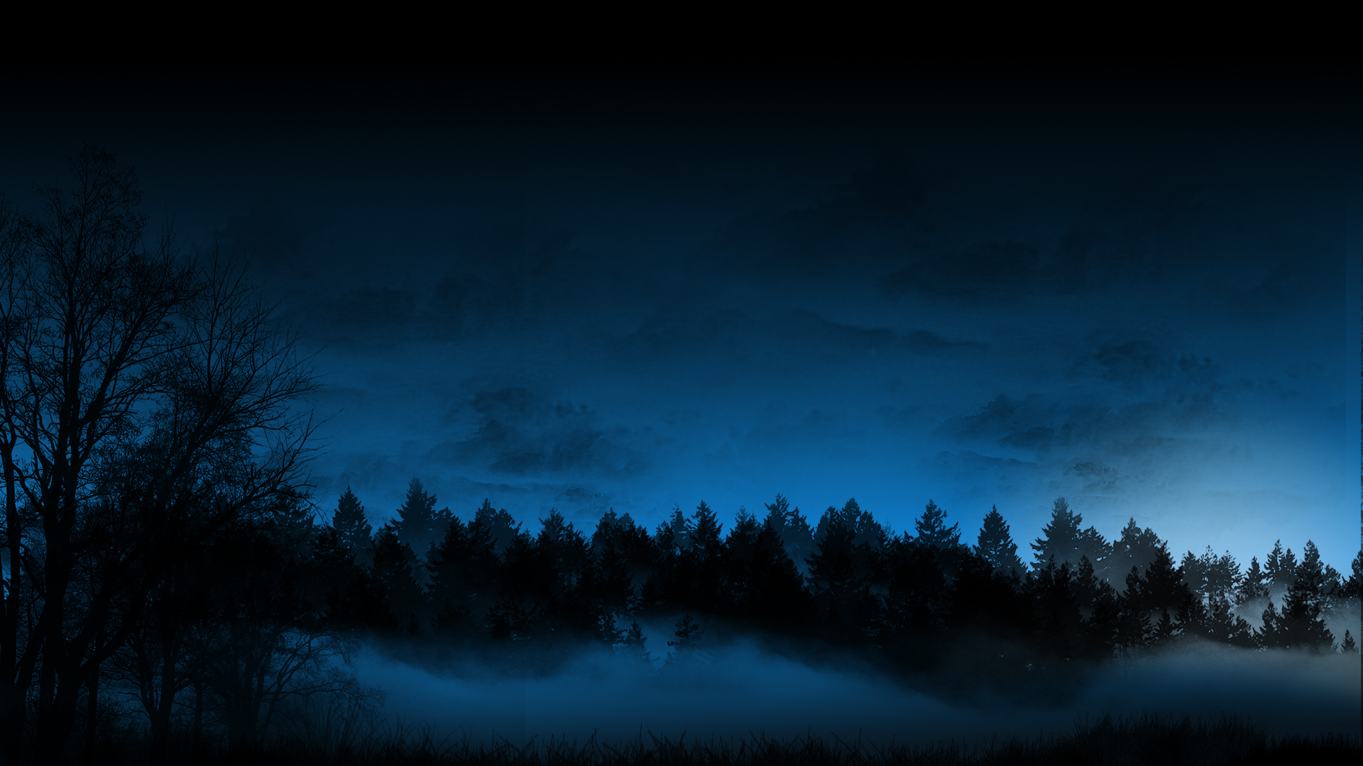 Обои туман в ночном лесу, fog in the forest at night разрешение 1920x1080 Загрузить