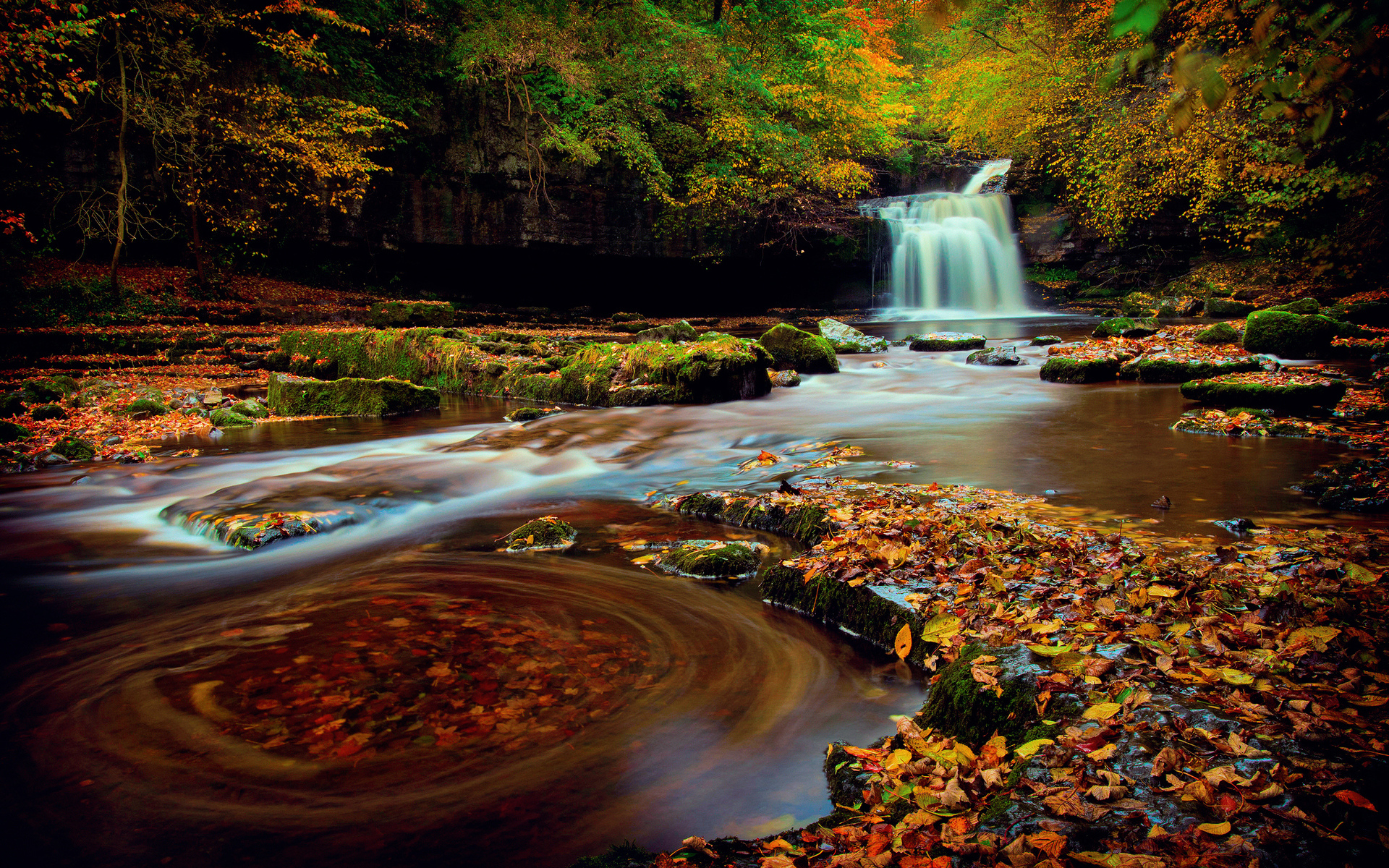 Обои лес, водопад, осень, октябрь, йоркшир, северная англия, forest, waterfall, autumn, october, yorkshire, northern england разрешение 1920x1200 Загрузить