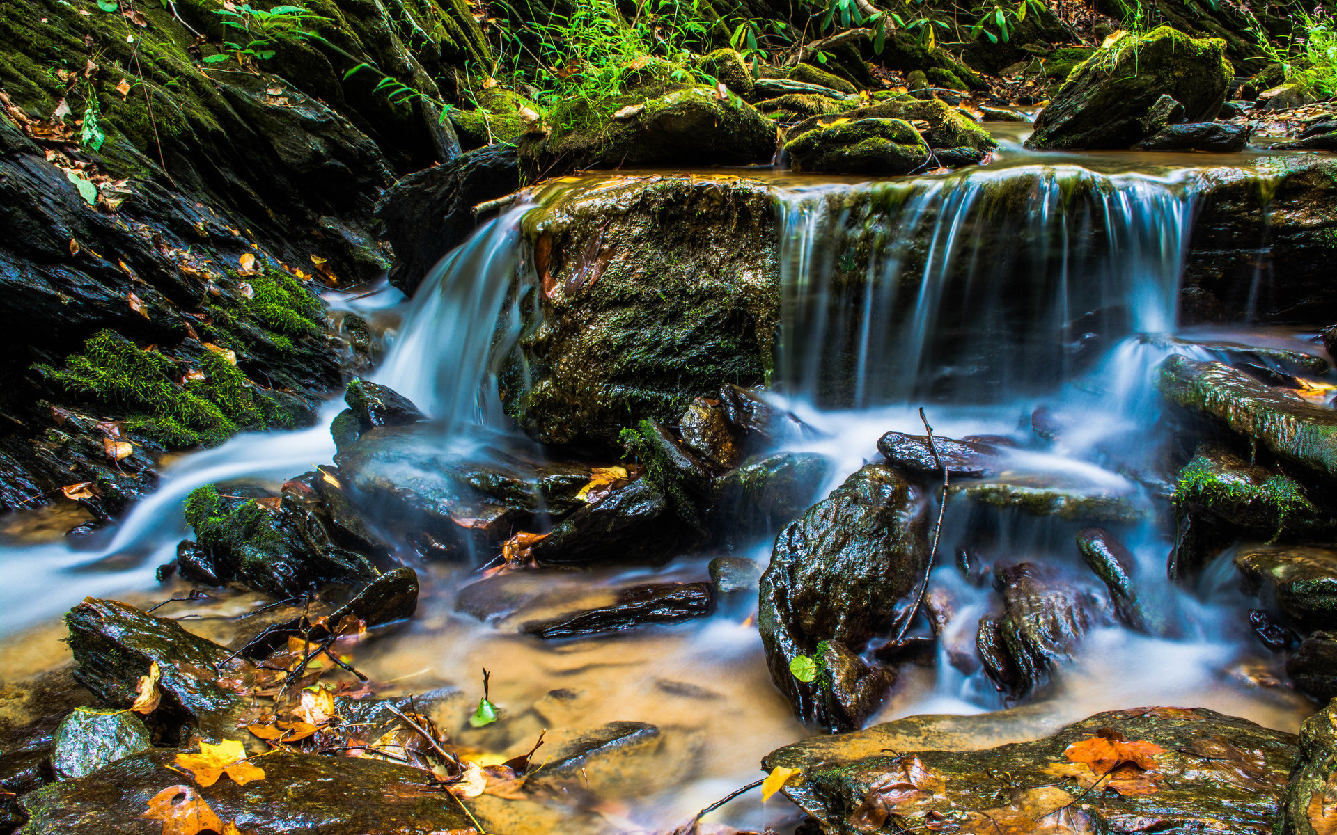 Обои вода, камни, ручей, мох, скал, ландшафт, на природе, water, stones, stream, moss, rocks, landscape, nature разрешение 1920x1200 Загрузить