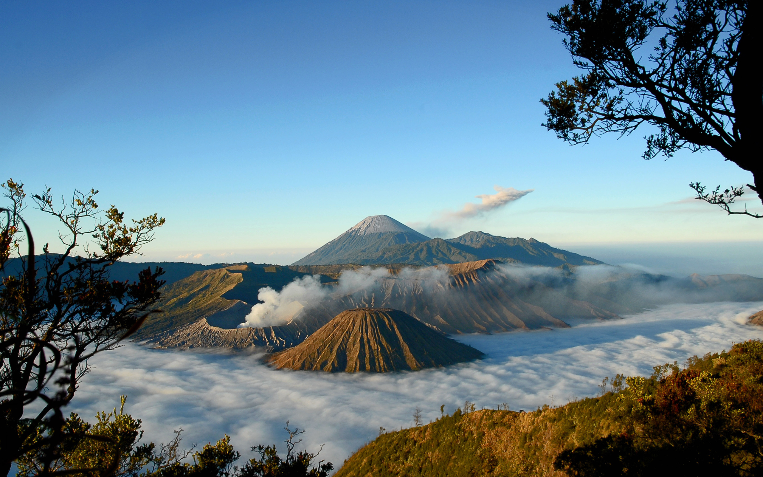 Обои деревья, горы, туман, вид, вулкан, trees, mountains, fog, view, the volcano разрешение 2560x1600 Загрузить