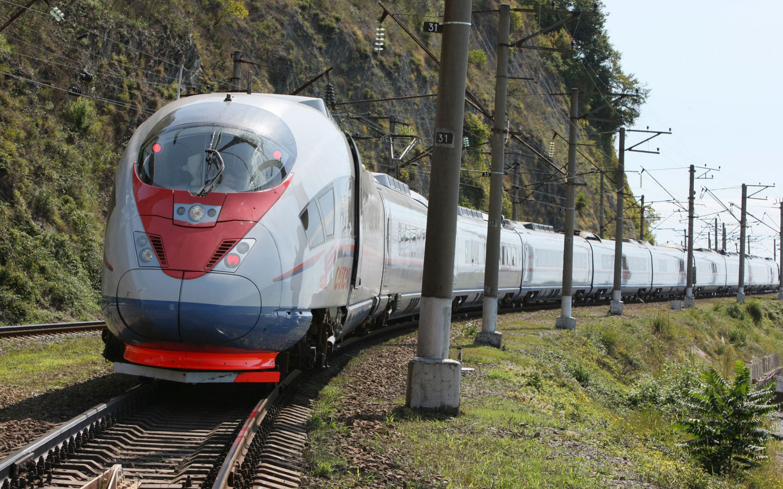Sapsan Train