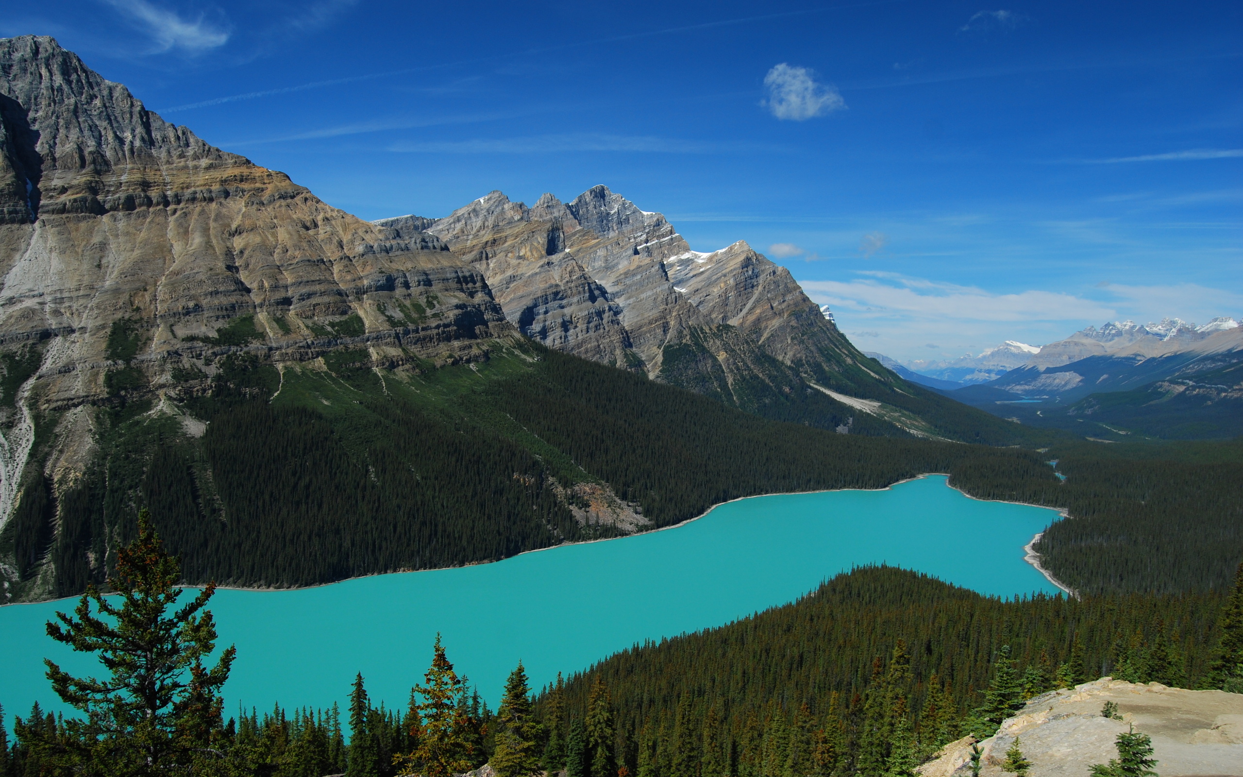 Обои озеро, горы, лес, пейзаж, канада, национальный парк банф, peyto lake, пейто, lake, mountains, forest, landscape, canada, banff national park, peyto разрешение 2560x1600 Загрузить