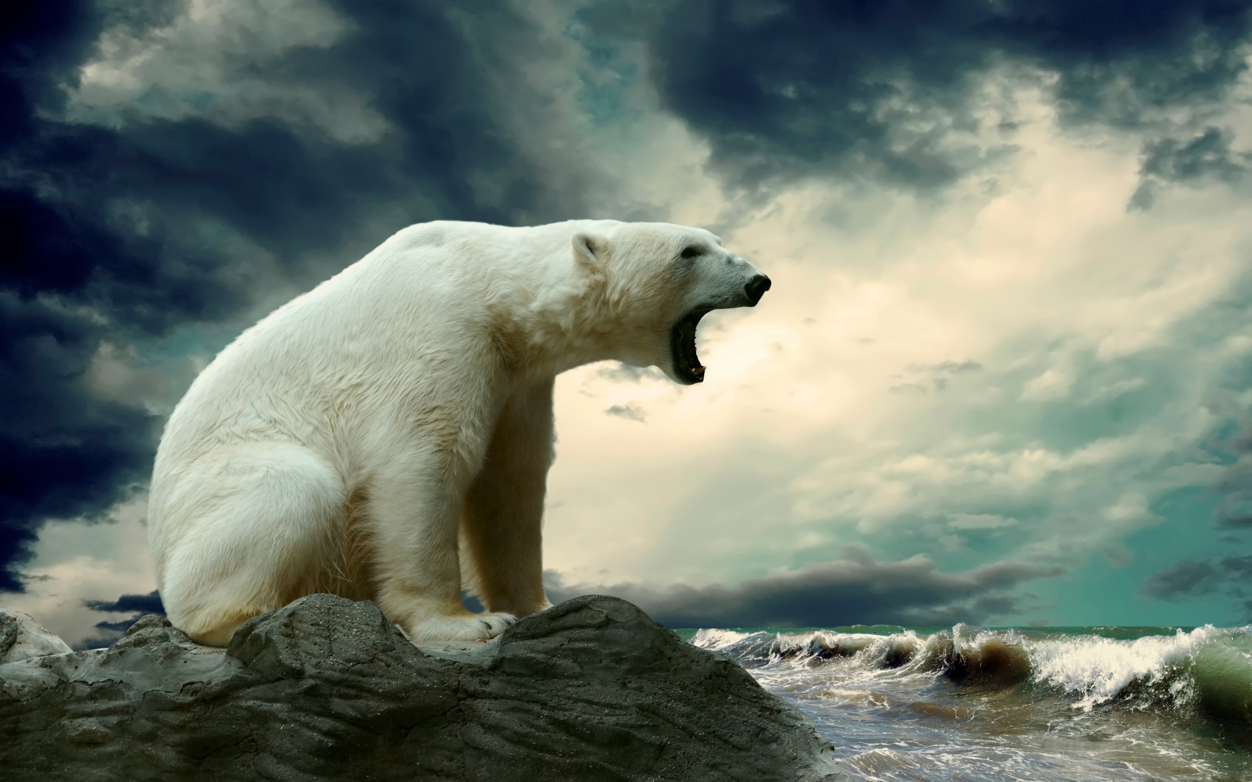 Обои небо, вода, море, животные, полярный медведь, медведь, хищник, белый медведь, рычащий большой белый медведь, large snarling polar bear, the sky, water, sea, animals, polar bear, bear, predator разрешение 2560x1600 Загрузить