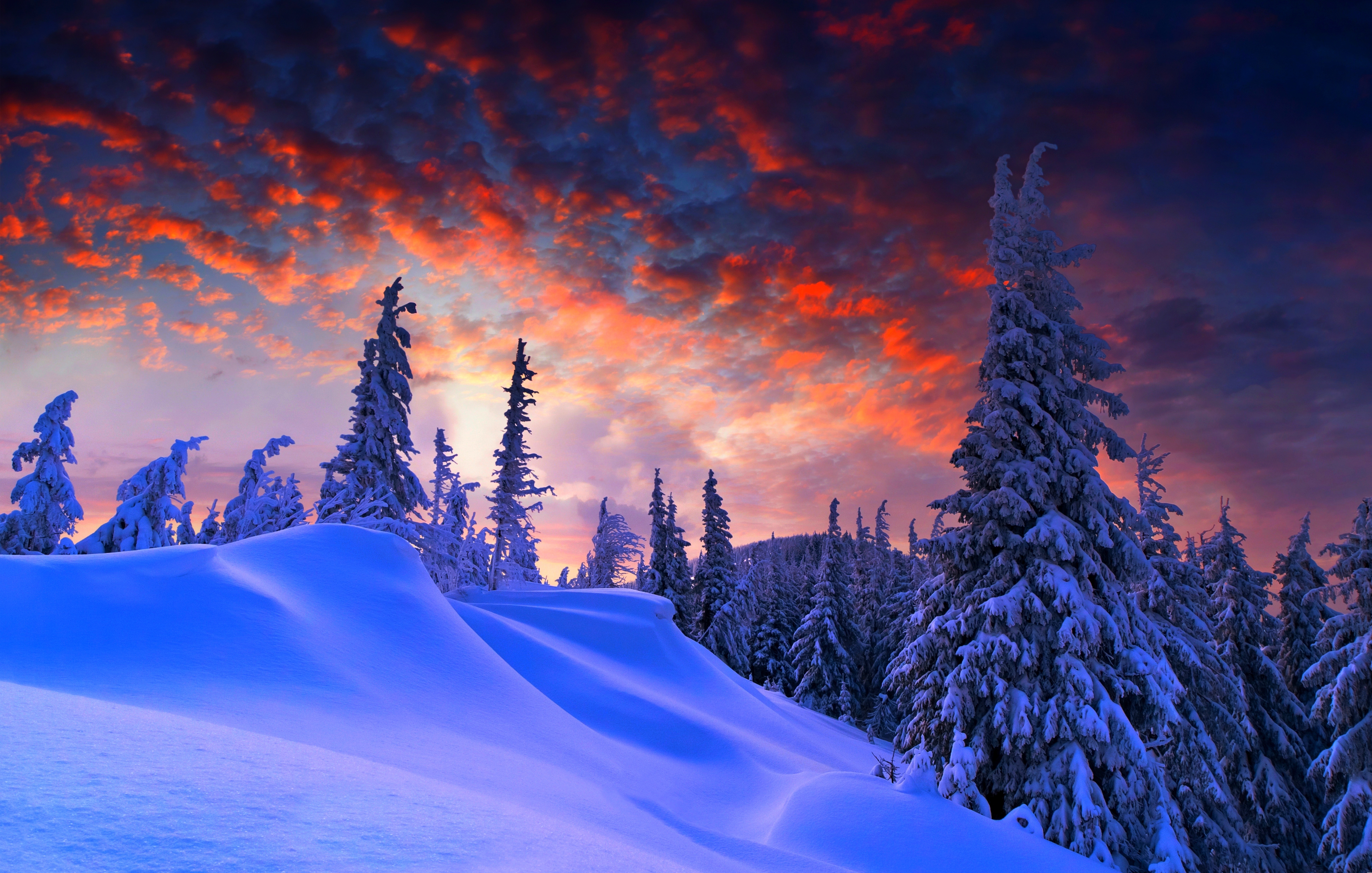 Тироль зима природа снег деревья облака горы без смс
