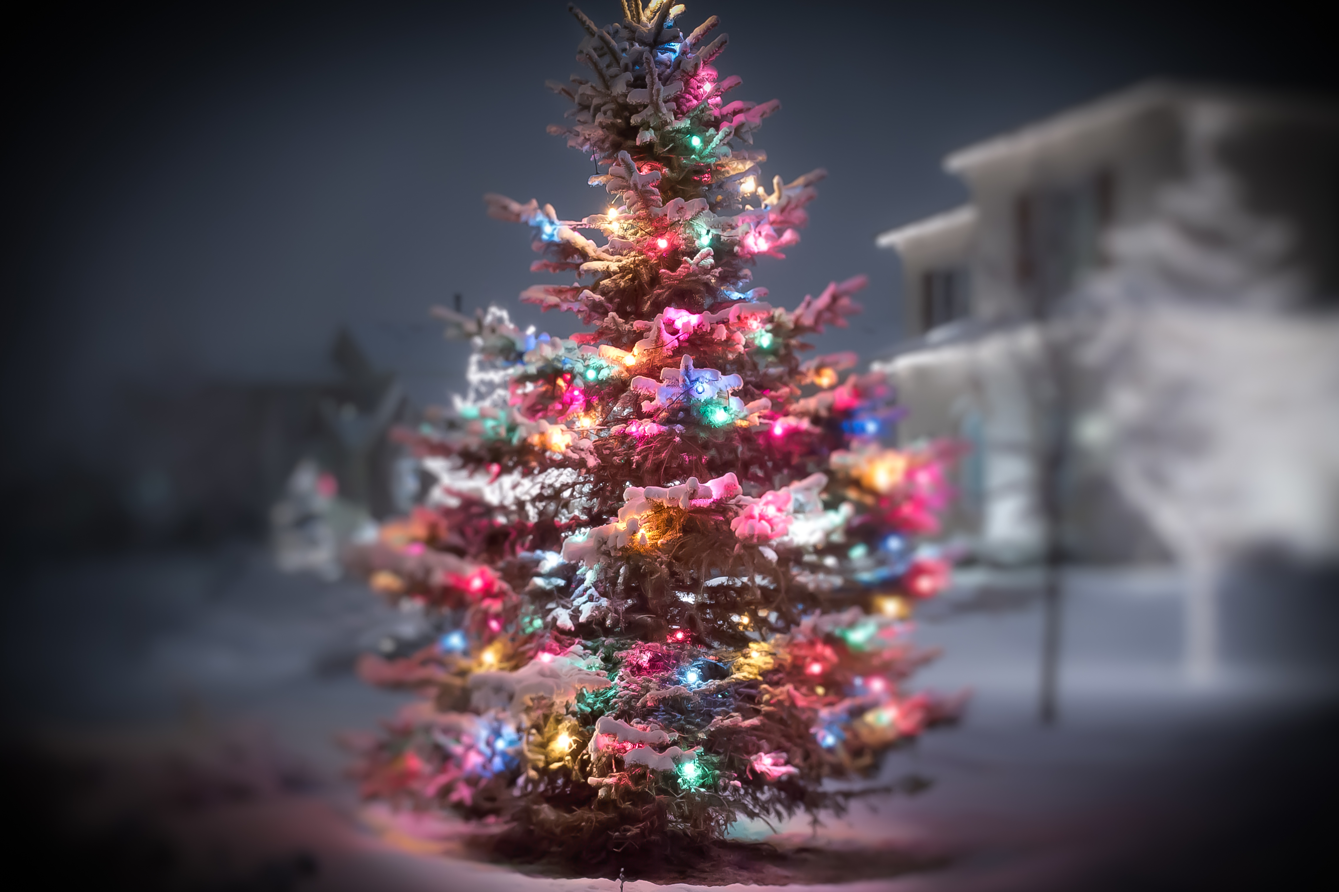 Фотка нового года 2024. Новогодняя елка. Красивая Новогодняя елка. Новогодняя елка на рабочий стол. Рождественская елка.