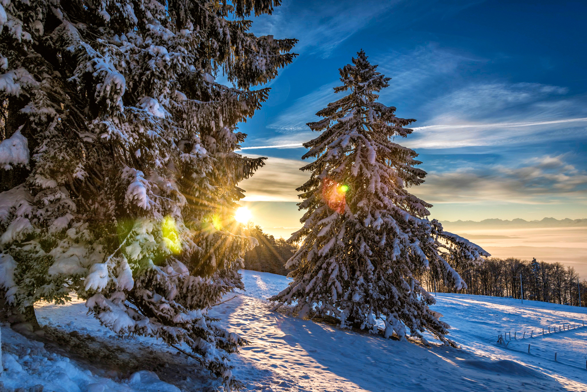 Обои солнце, снег, лес, зима, швейцария, grenchenberg, the sun, snow, forest, winter, switzerland разрешение 2048x1367 Загрузить