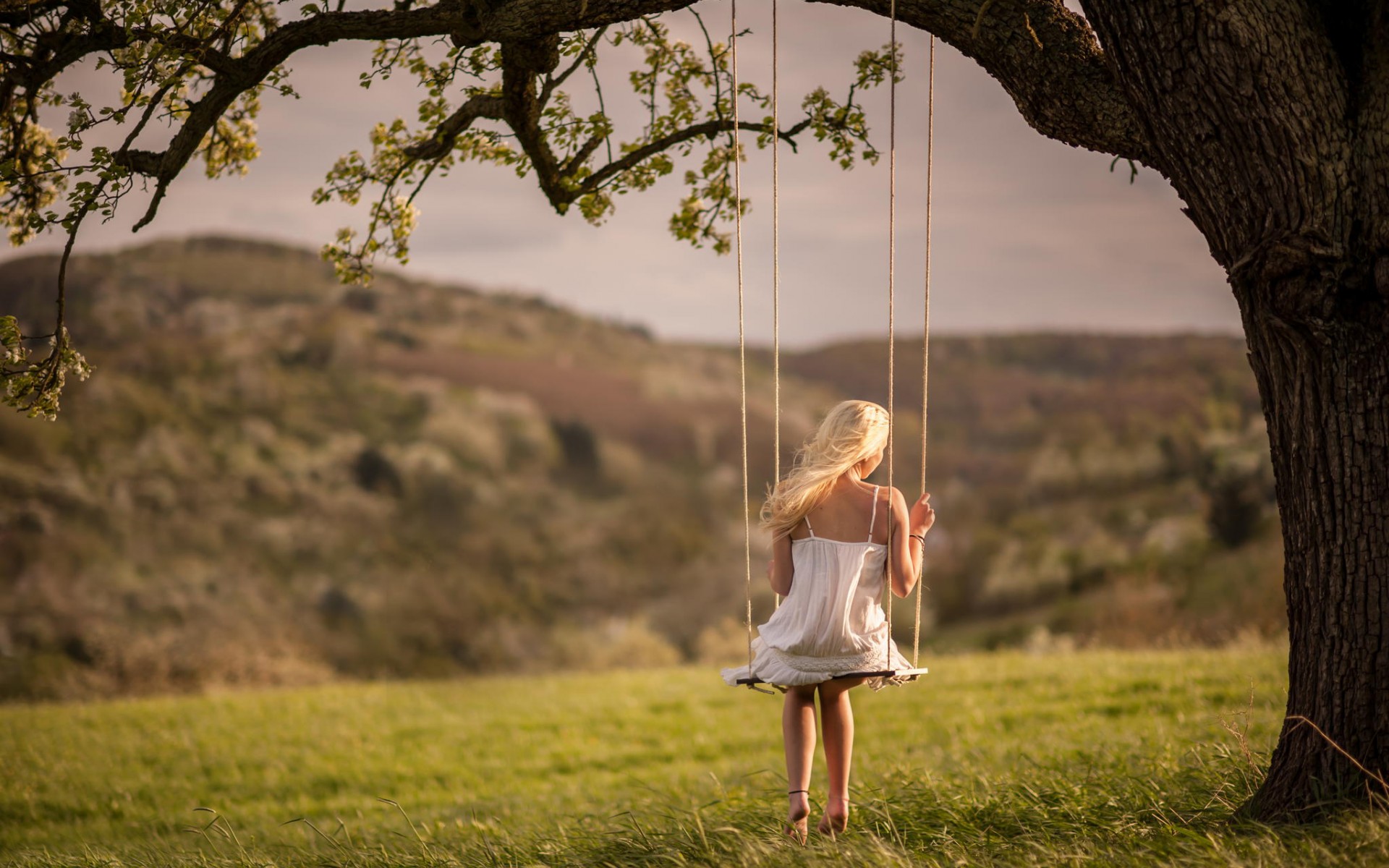 Обои природа, девушка, блондинка, качели, nature, girl, blonde, swing разрешение 1920x1200 Загрузить