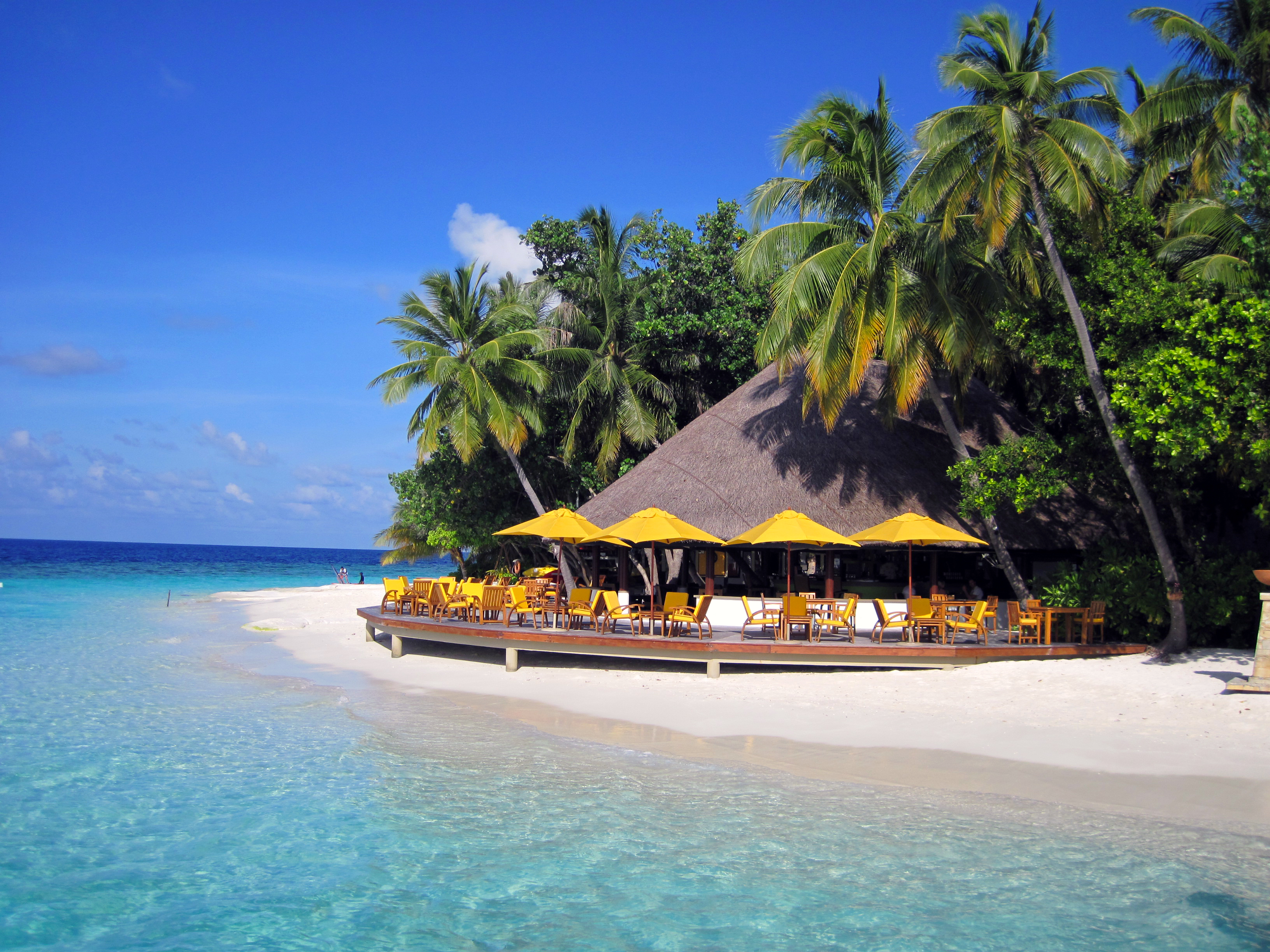 1 остров любой. Мальдивы. Курорт. Остров пляж. Красивые острова.