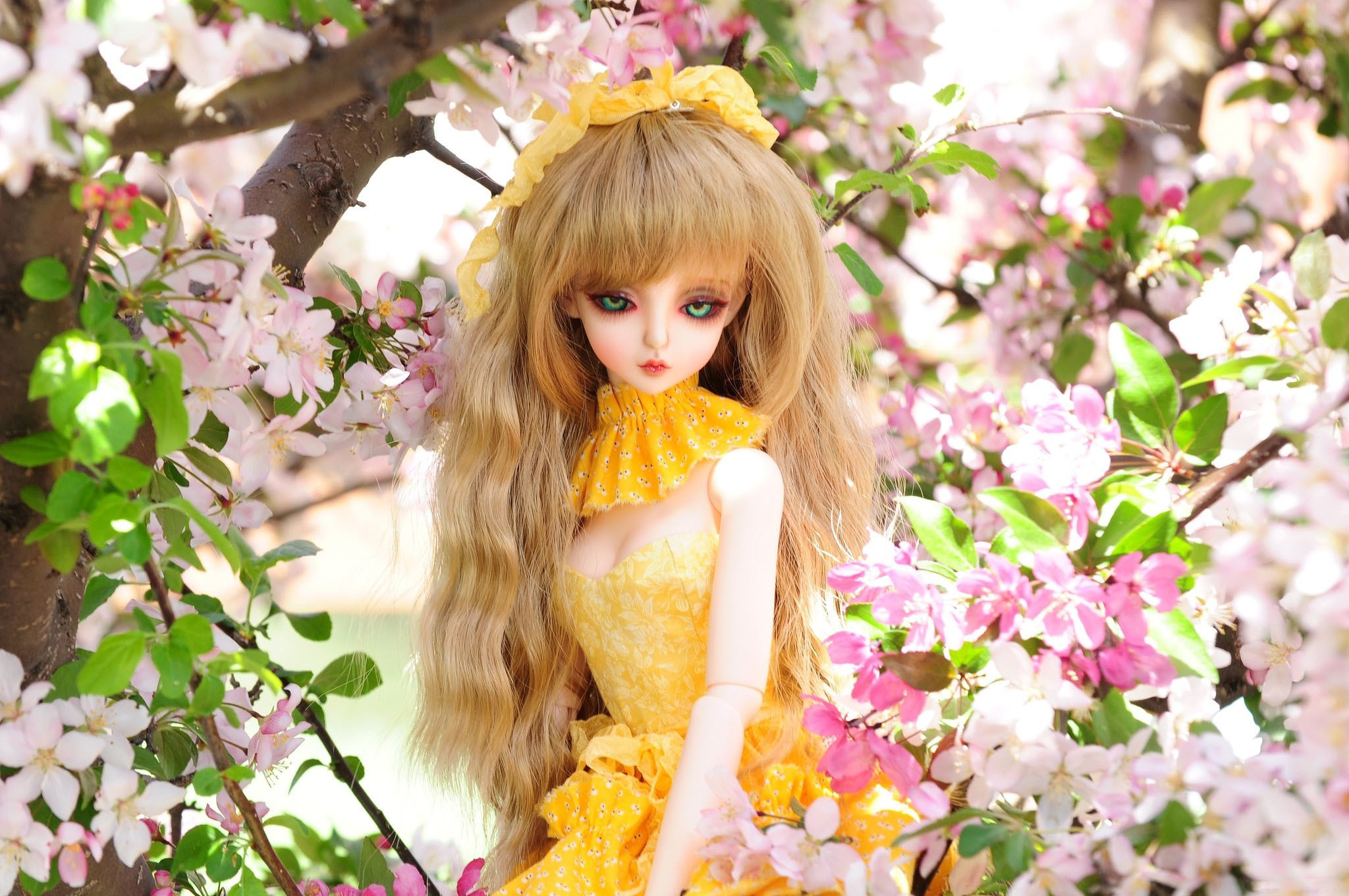 Обои цветы, природа, игрушка, кукла, вишня, flowers, nature, toy, doll, cherry разрешение 2048x1360 Загрузить