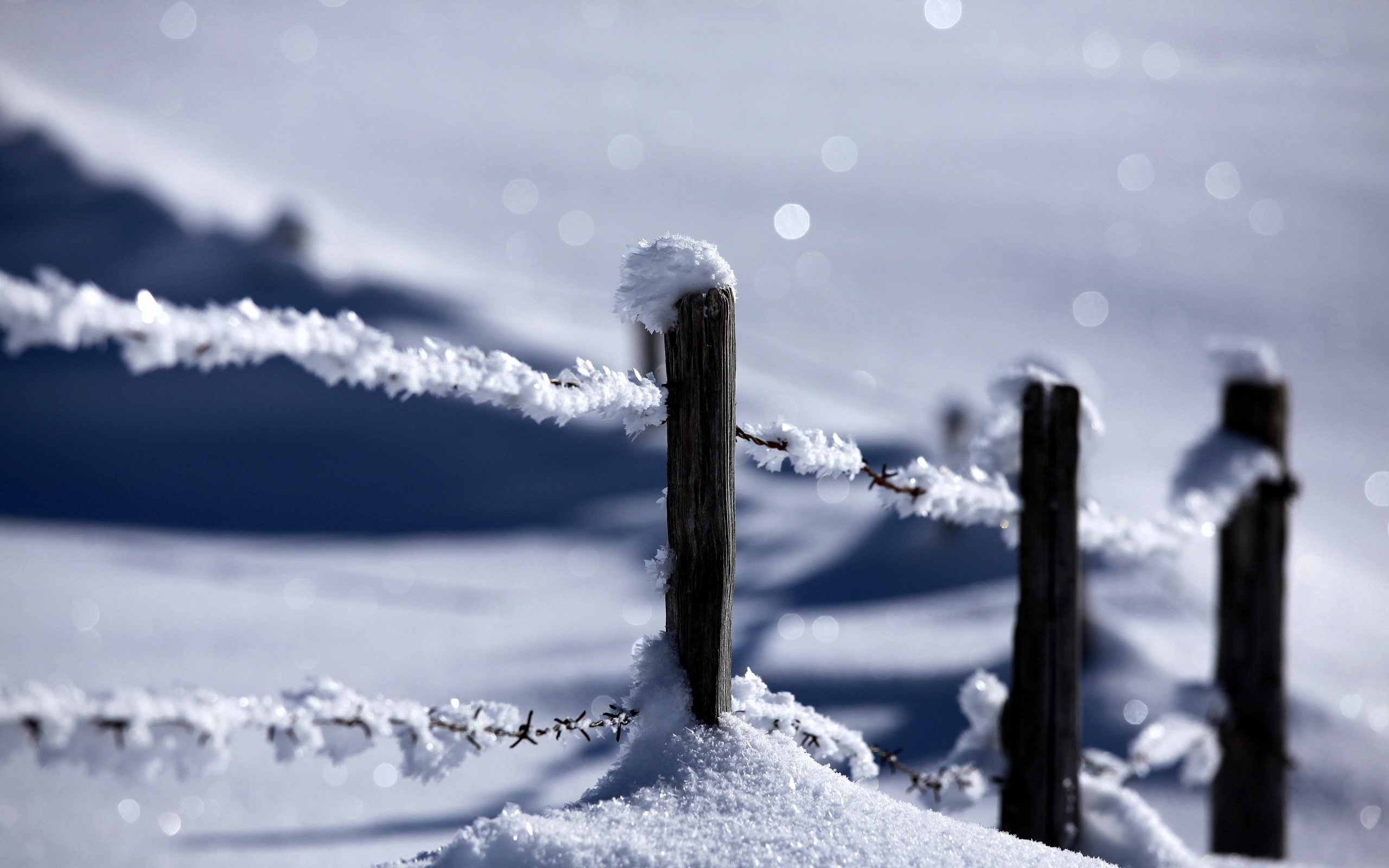 Обои снег, природа, зима, забор, snow, nature, winter, the fence разрешение 2560x1600 Загрузить