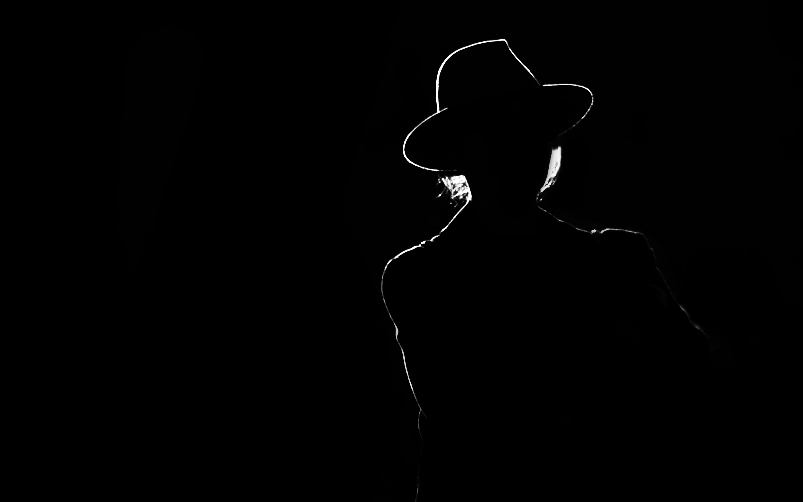 Обои девушка, силуэт, чёрно-белый, шляпа, girl, silhouette, black and white, hat разрешение 2560x1600 Загрузить