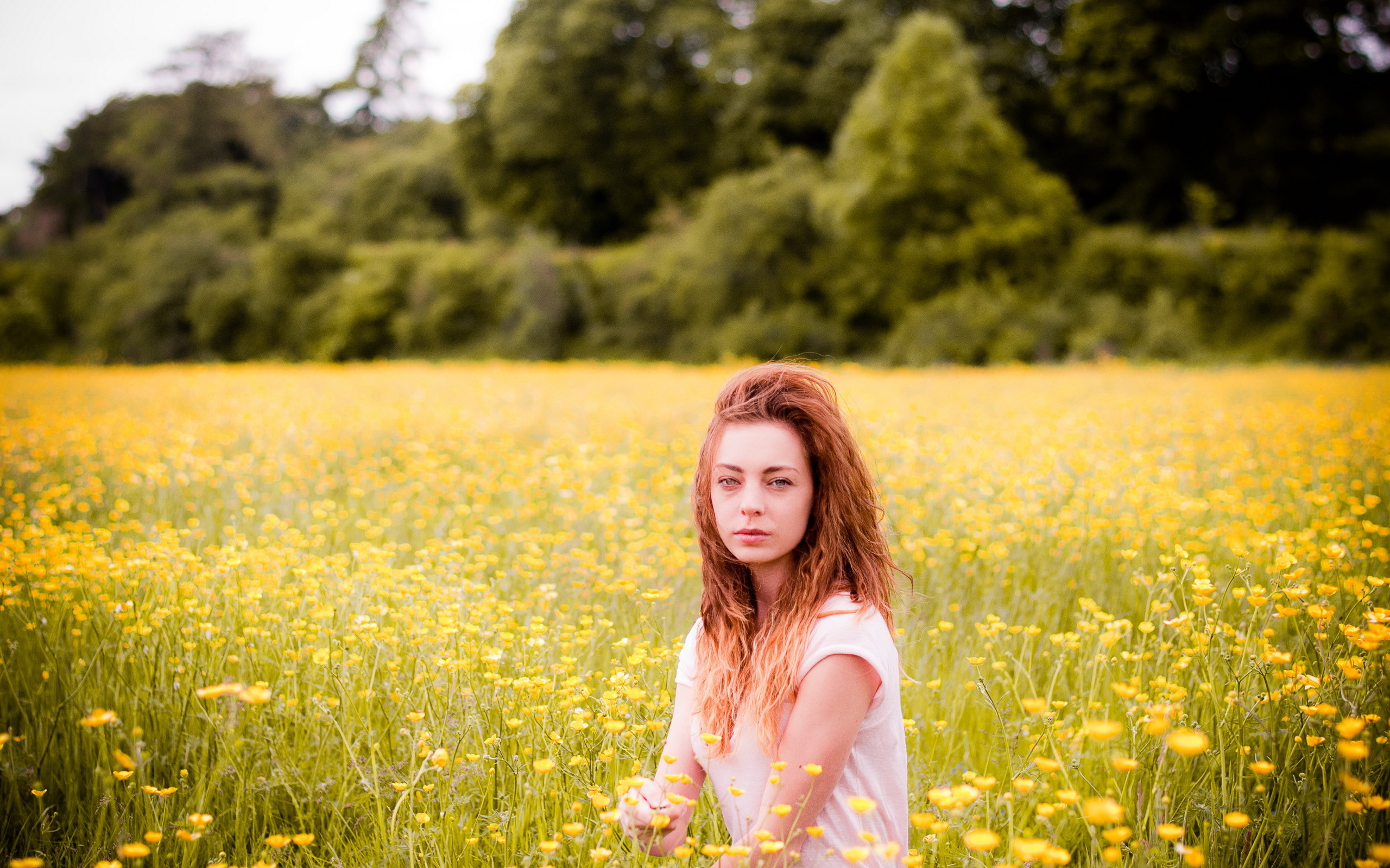 Обои цветы, девушка, поле, лето, flowers, girl, field, summer разрешение 2560x1600 Загрузить