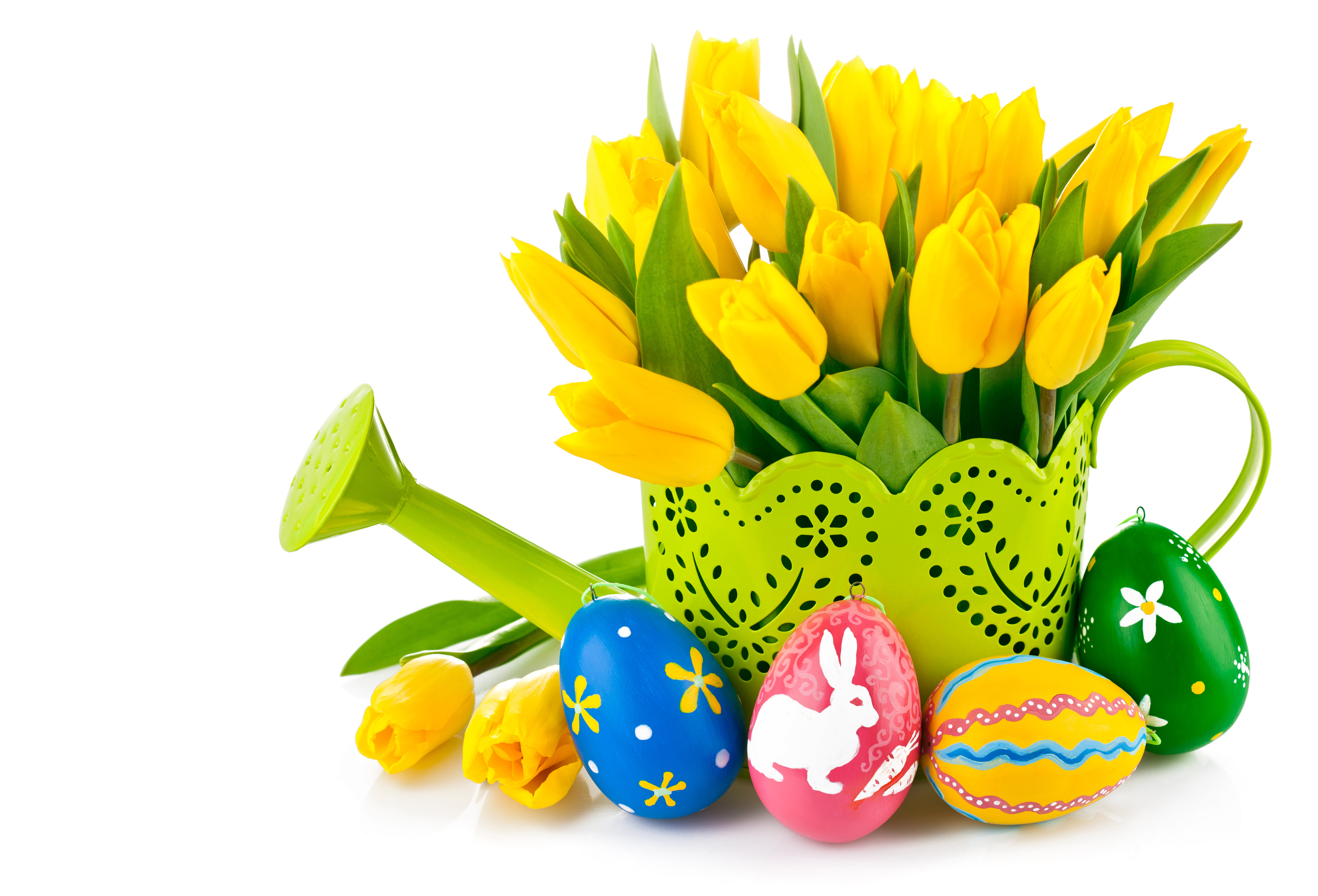 Обои тюльпаны, белый фон, пасха, яйца, праздник, лейка, tulips, white background, easter, eggs, holiday, lake разрешение 5402x3674 Загрузить