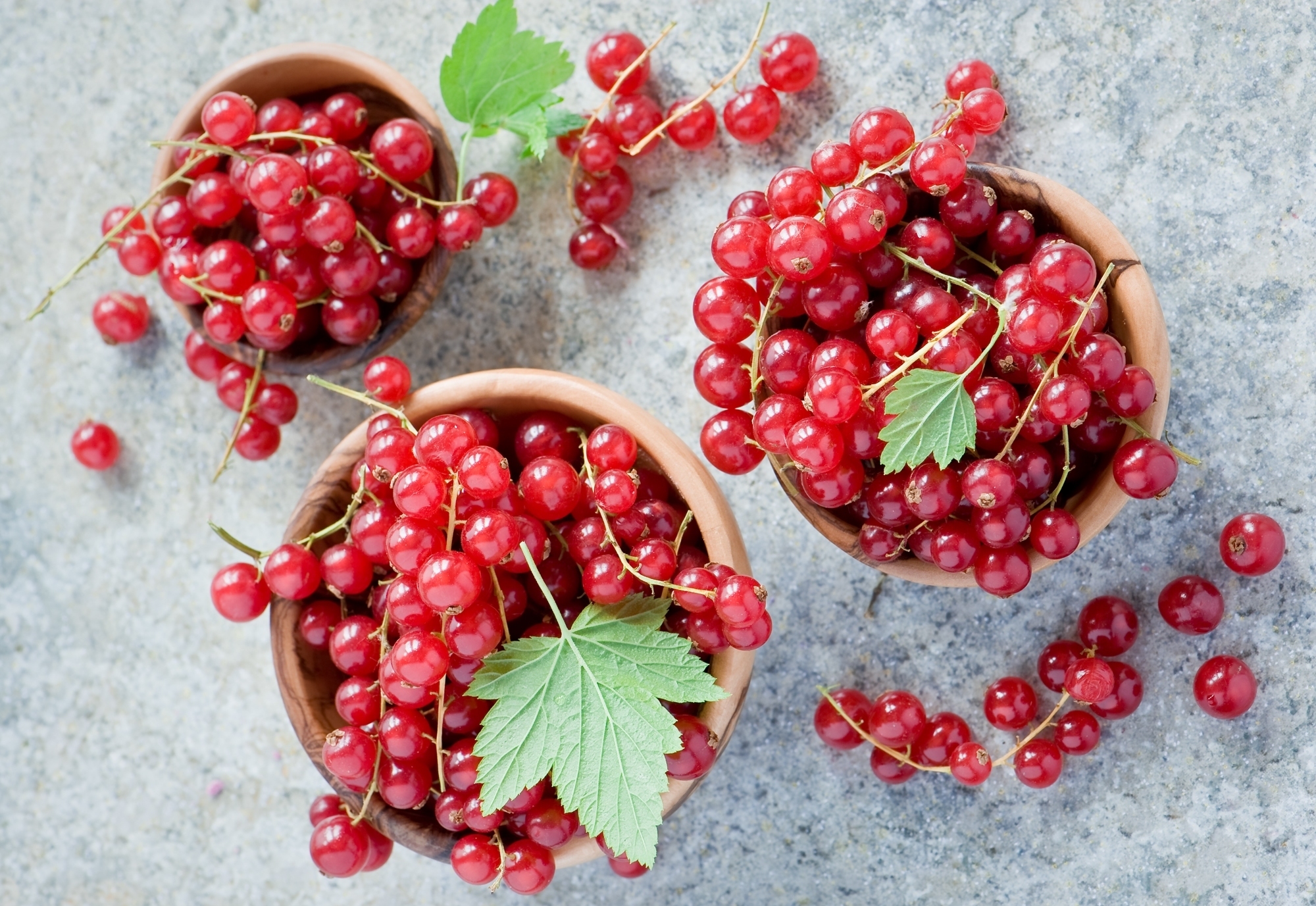 Обои ягода, красная, смородина, миски, berry, red, currants, bowls разрешение 2000x1377 Загрузить