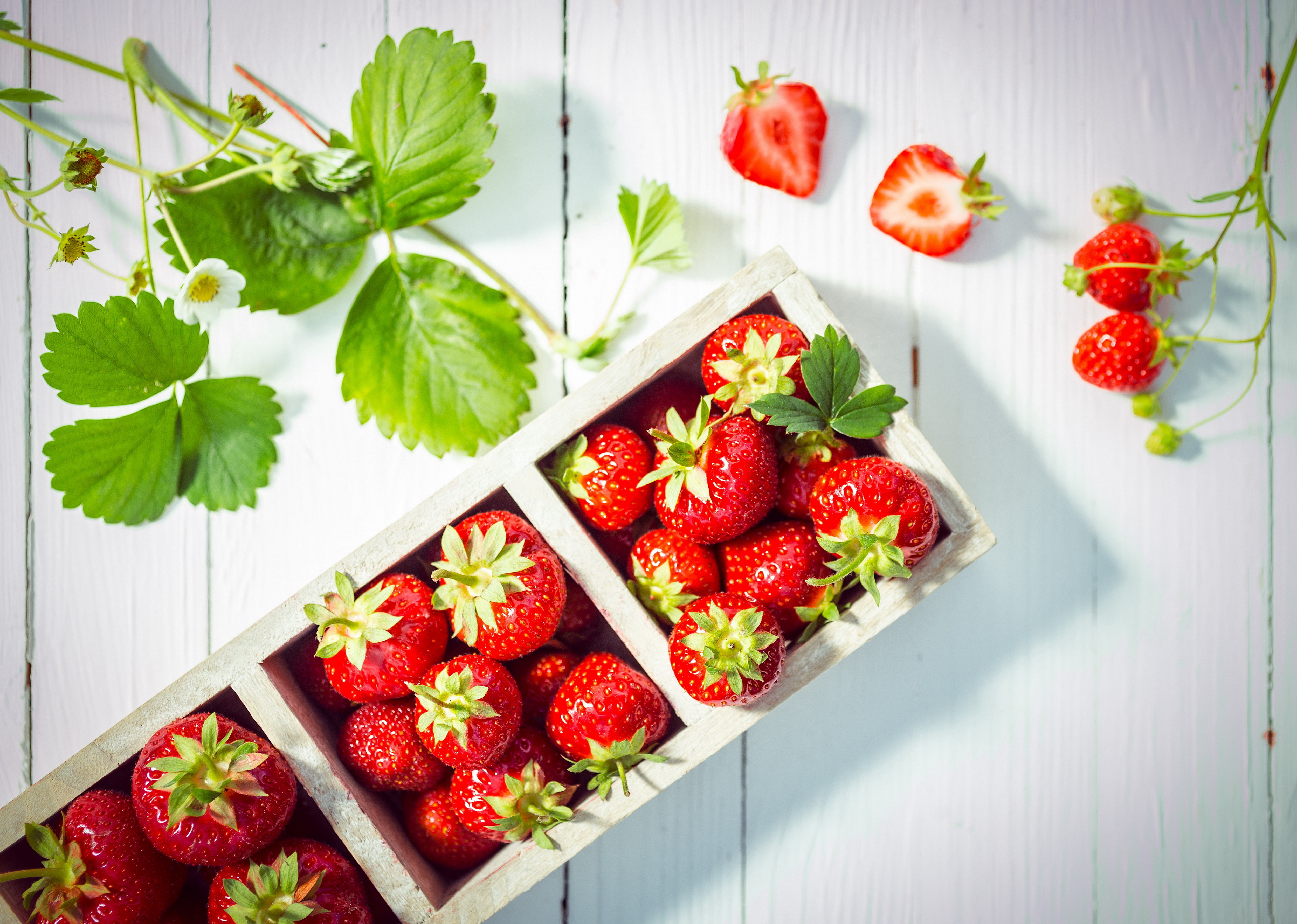 Обои листья, ягода, клубника, свежие ягоды, leaves, berry, strawberry, fresh berries разрешение 5000x3563 Загрузить