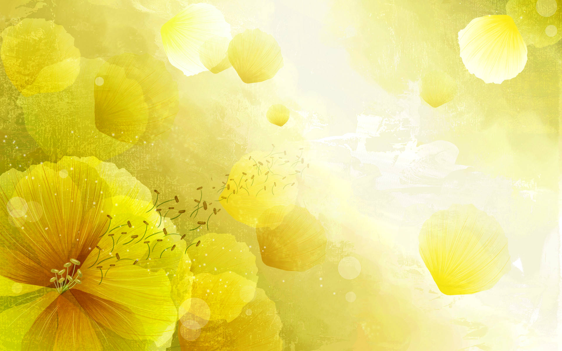 Желтые лепестки цветка без смс