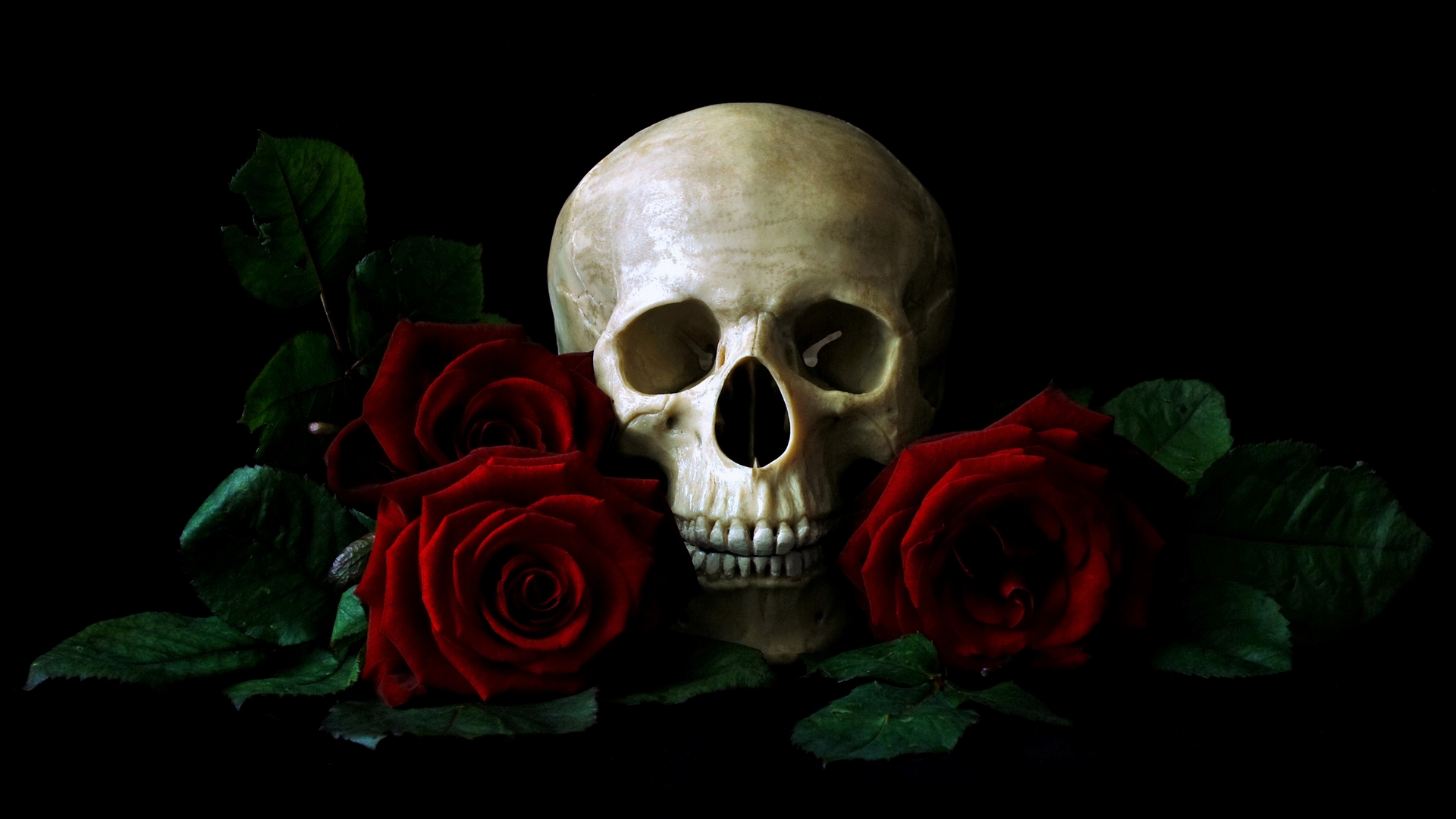 Love skull and roses wallpaper