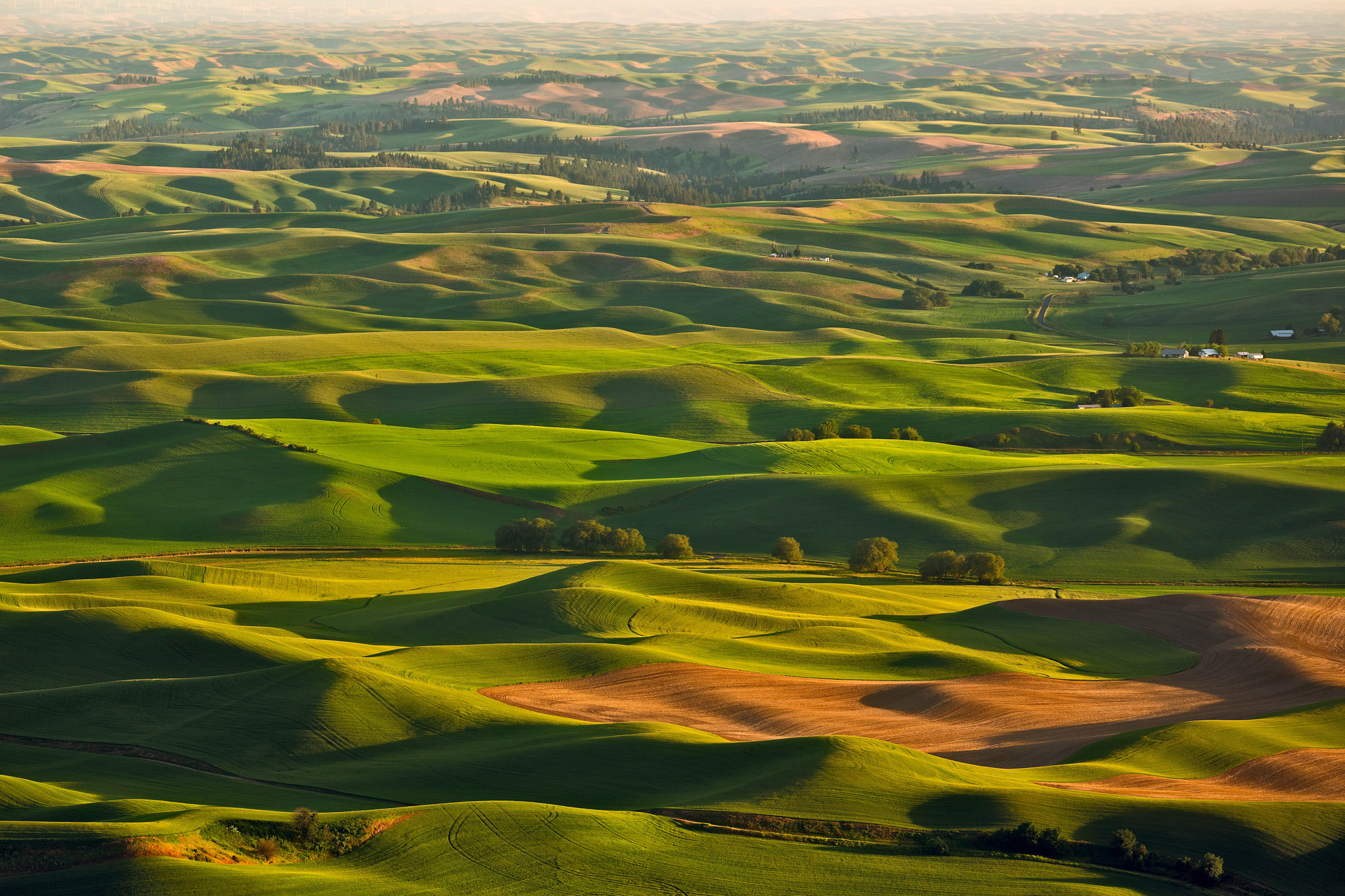 Виды полей. Холмы Тосканы Италия. Италия, зеленые поля Тосканы. Италия бескрайние поля. Тоскана вид сверху.