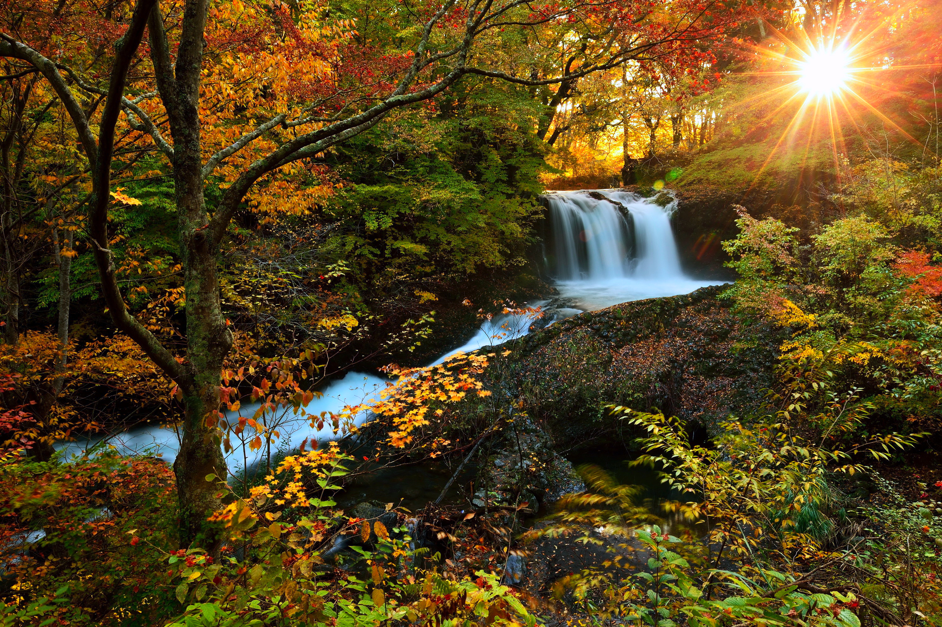 Обои деревья, река, солнце, лес, водопад, осень, trees, river, the sun, forest, waterfall, autumn разрешение 3000x1997 Загрузить
