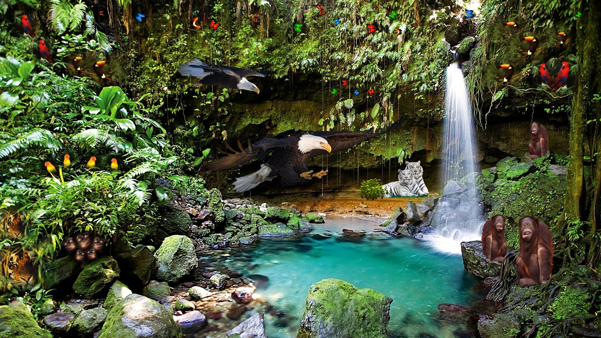 Обои водопад, тропики, waterfall, tropics разрешение 1920x1080 Загрузить
