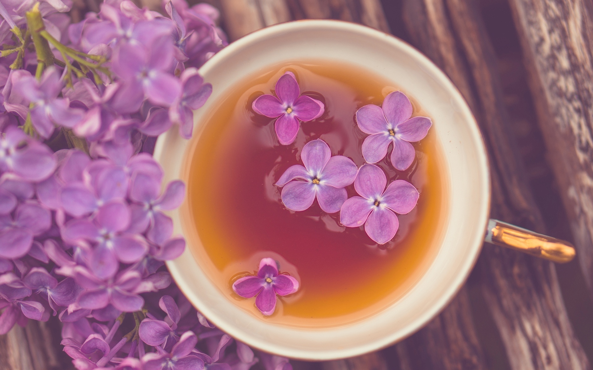 Обои цветы, настроение, кружка, чай, сирень, flowers, mood, mug, tea, lilac разрешение 1920x1200 Загрузить