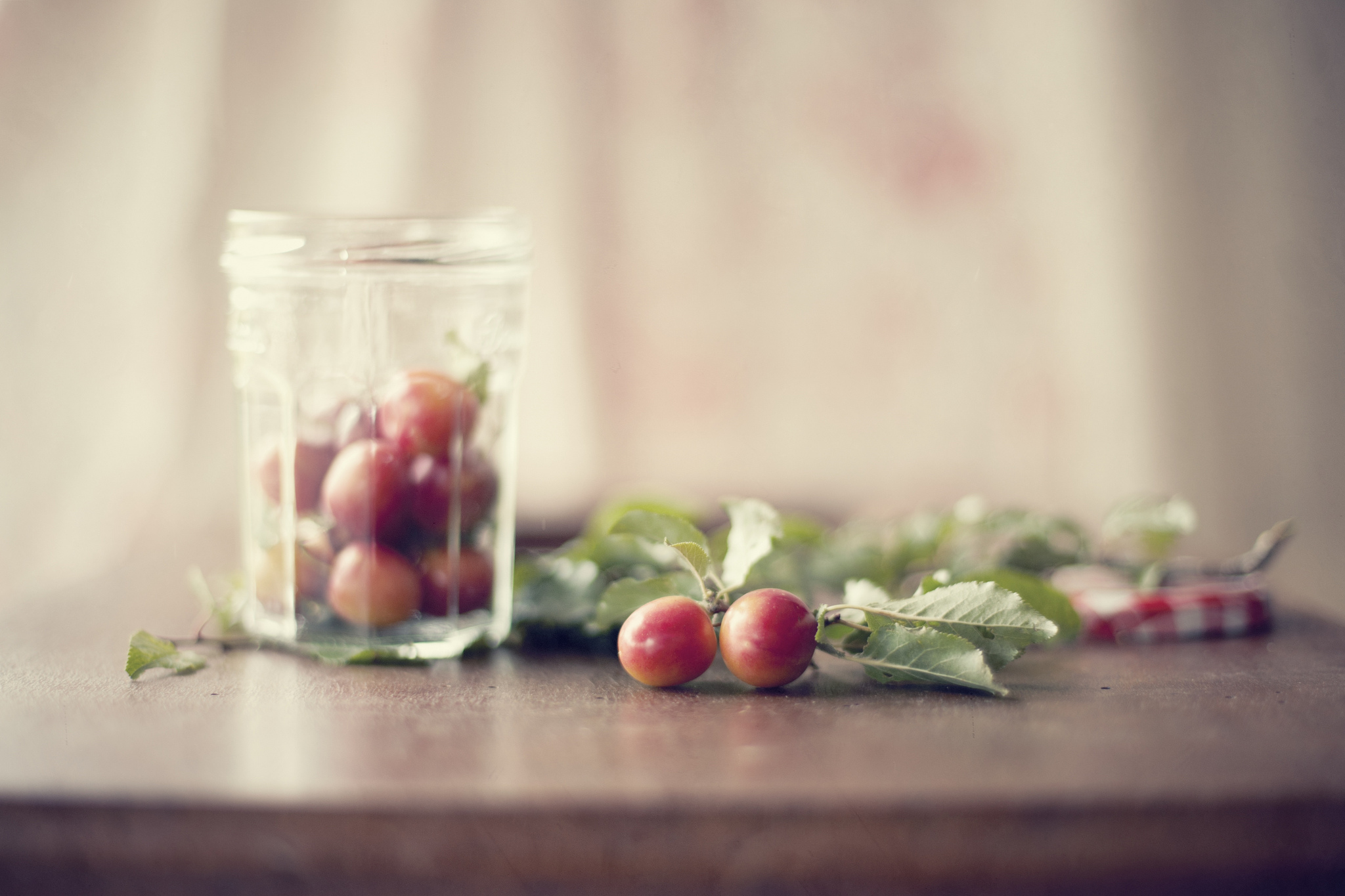 Обои листья, стол, банка, алыча, слива, leaves, table, bank, plum, drain разрешение 2048x1365 Загрузить