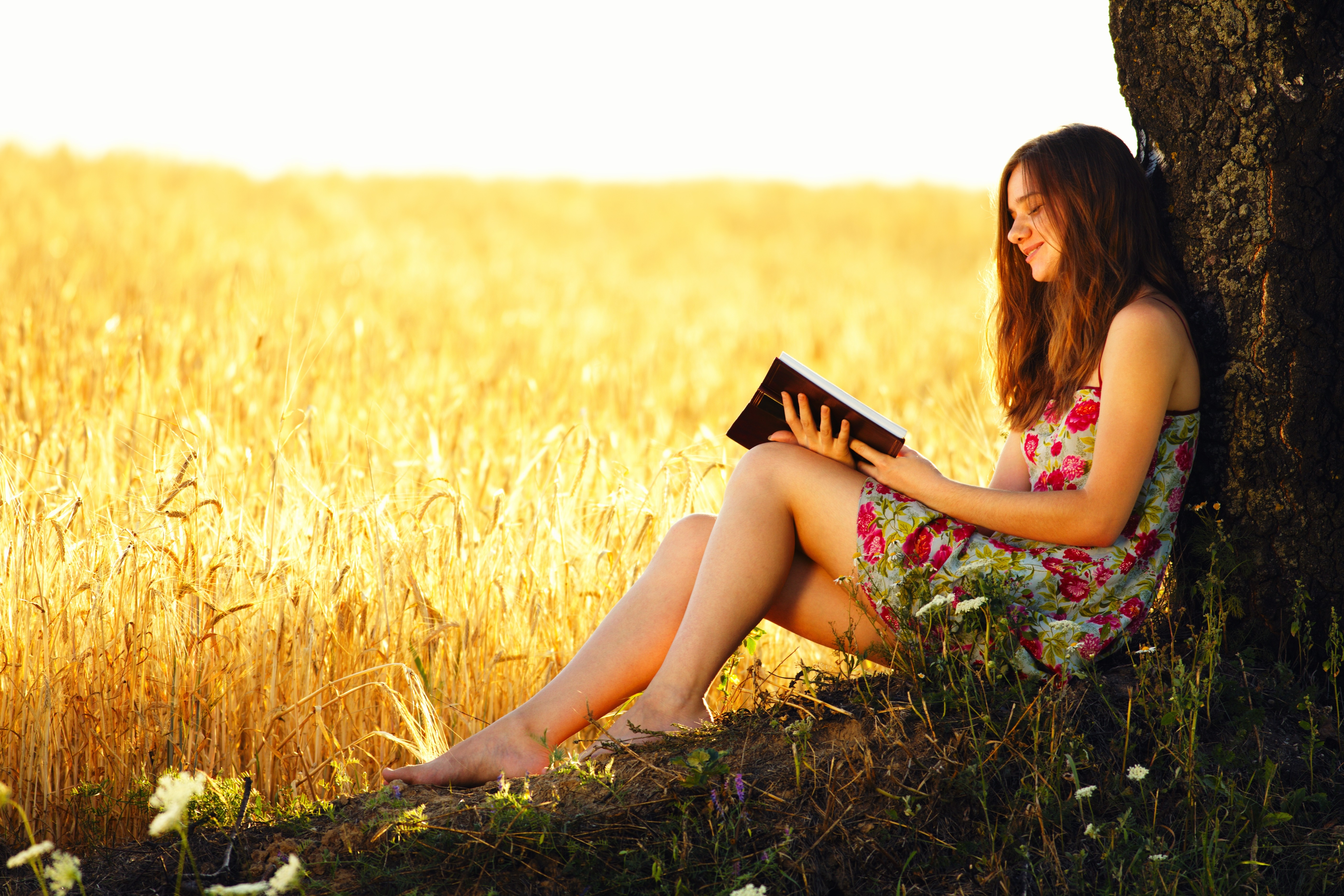 Сидящая женщина с книгой. Девушка в поле. Фотосессия на природе. Женщина на природе. Девушка лето.