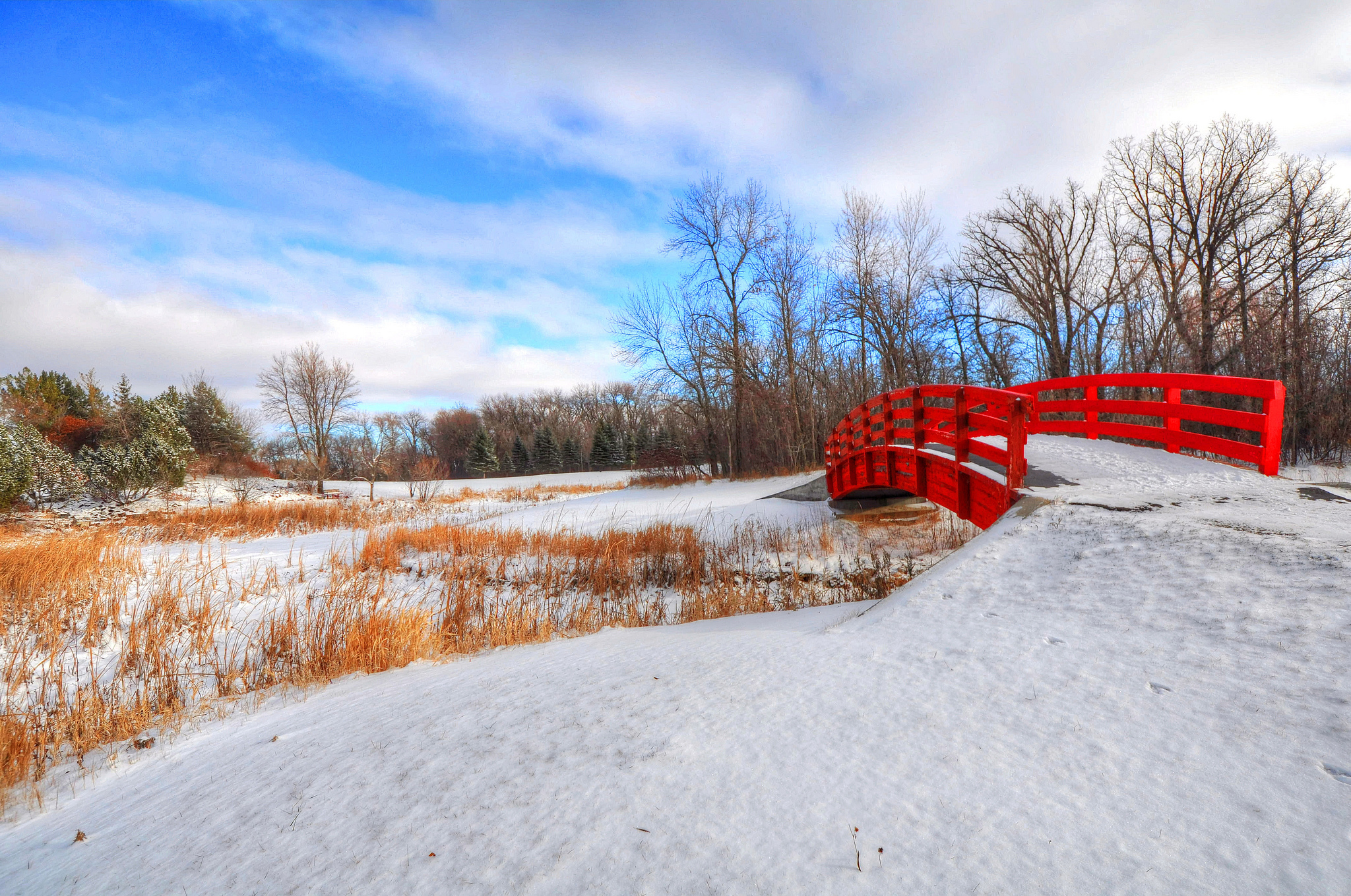 Обои небо, деревья, снег, зима, парк, мост, the sky, trees, snow, winter, park, bridge разрешение 2048x1360 Загрузить