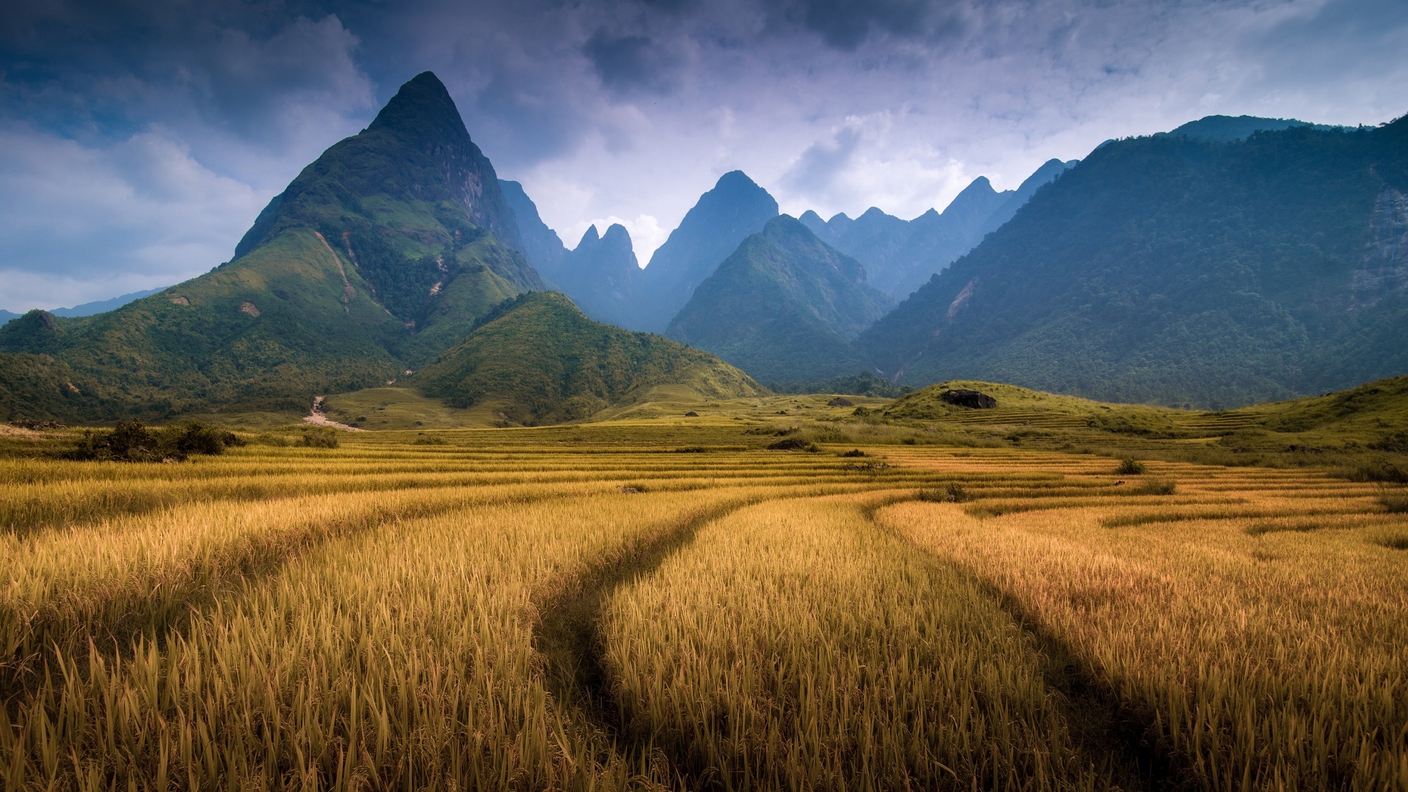 Рис холмы. Гора Фаншипан Вьетнам. Вьетнам равнина. Вьетнам холмы. Китай Долина холмов.