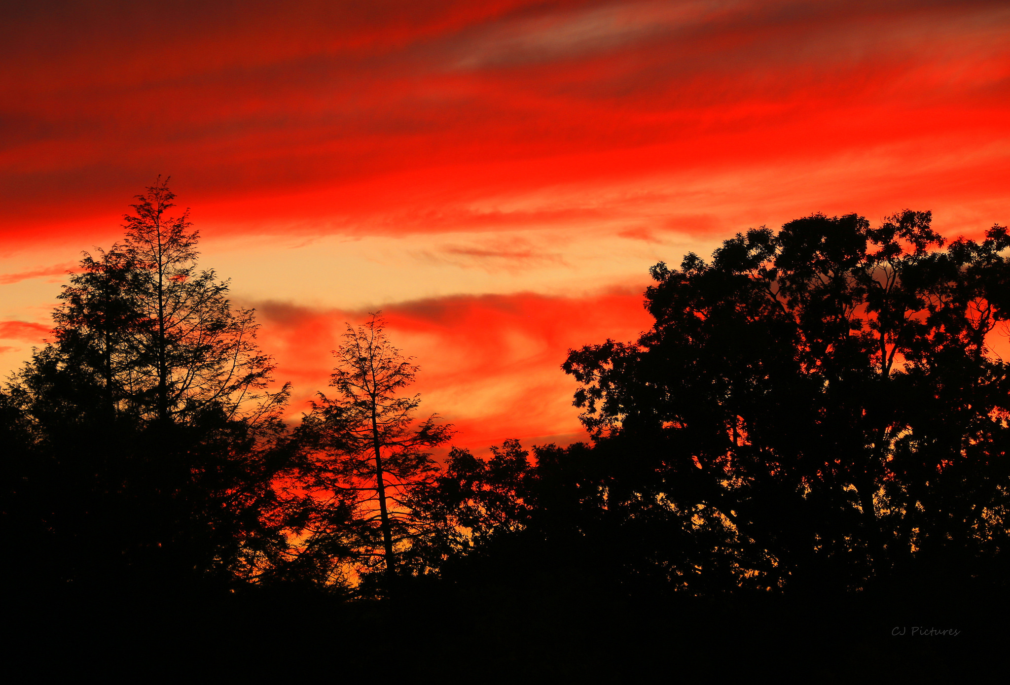 Обои небо, облака, деревья, силуэт, зарево, the sky, clouds, trees, silhouette, glow разрешение 2048x1390 Загрузить