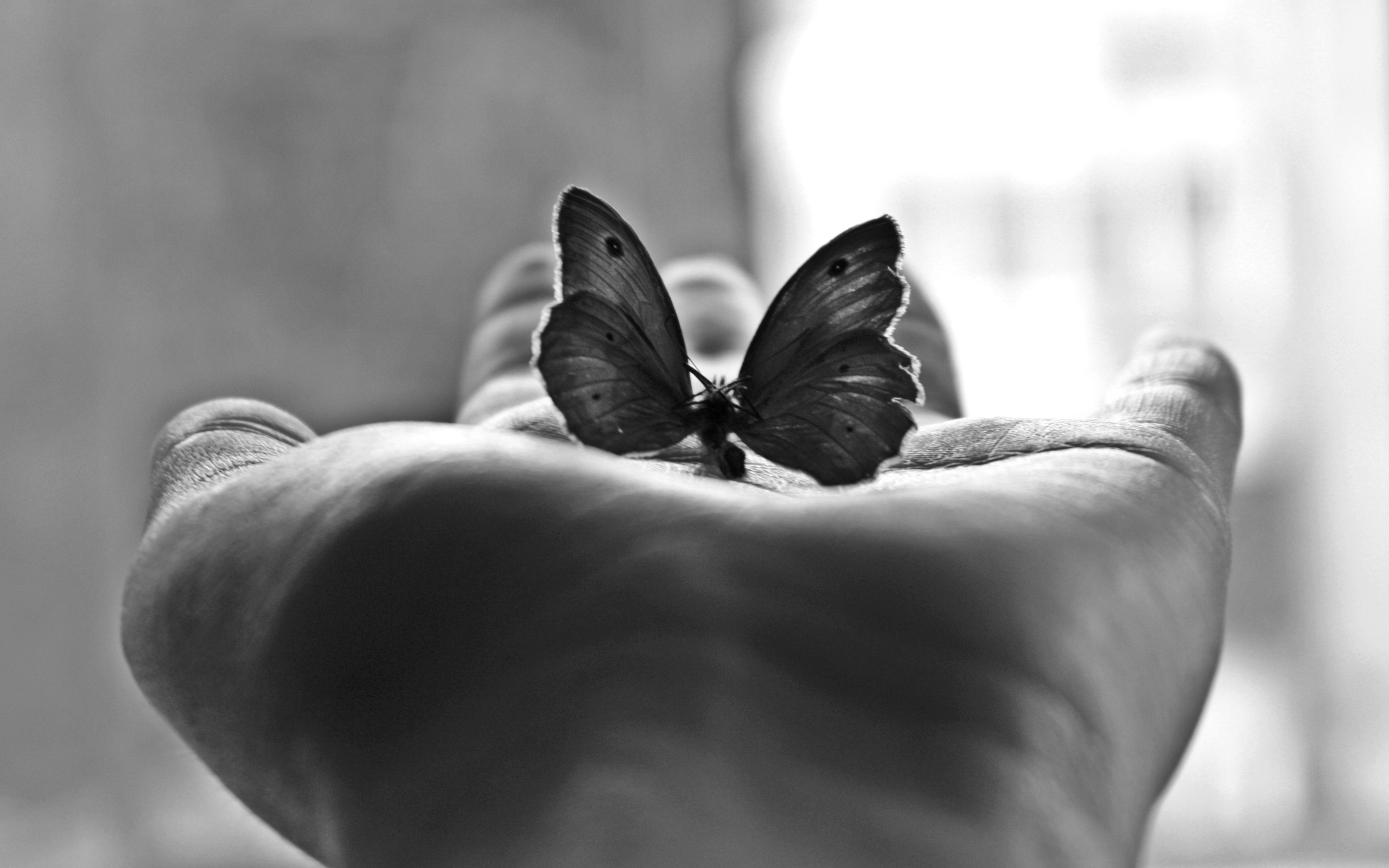 Бабочка на пальце без смс
