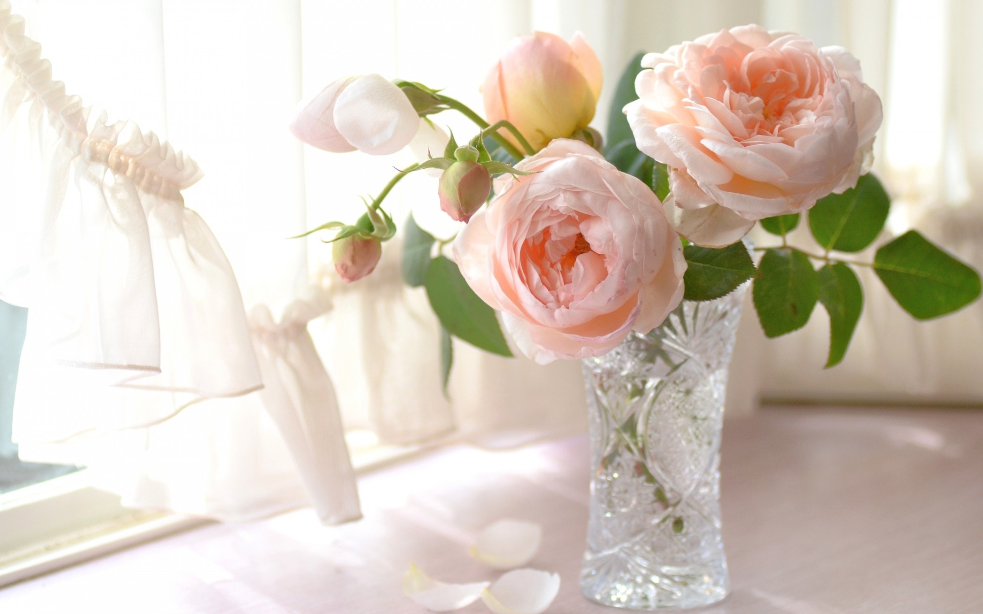 Обои свет, цветы, розы, лепестки, букет, окно, нежность, ваза, light, flowers, roses, petals, bouquet, window, tenderness, vase разрешение 1920x1200 Загрузить