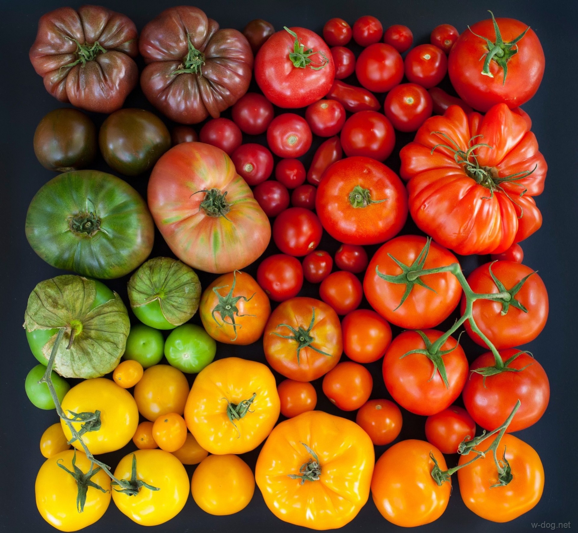 Обои разноцветные, урожай, овощи, помидоры, томаты, colorful, harvest, vegetables, tomatoes разрешение 1920x1771 Загрузить