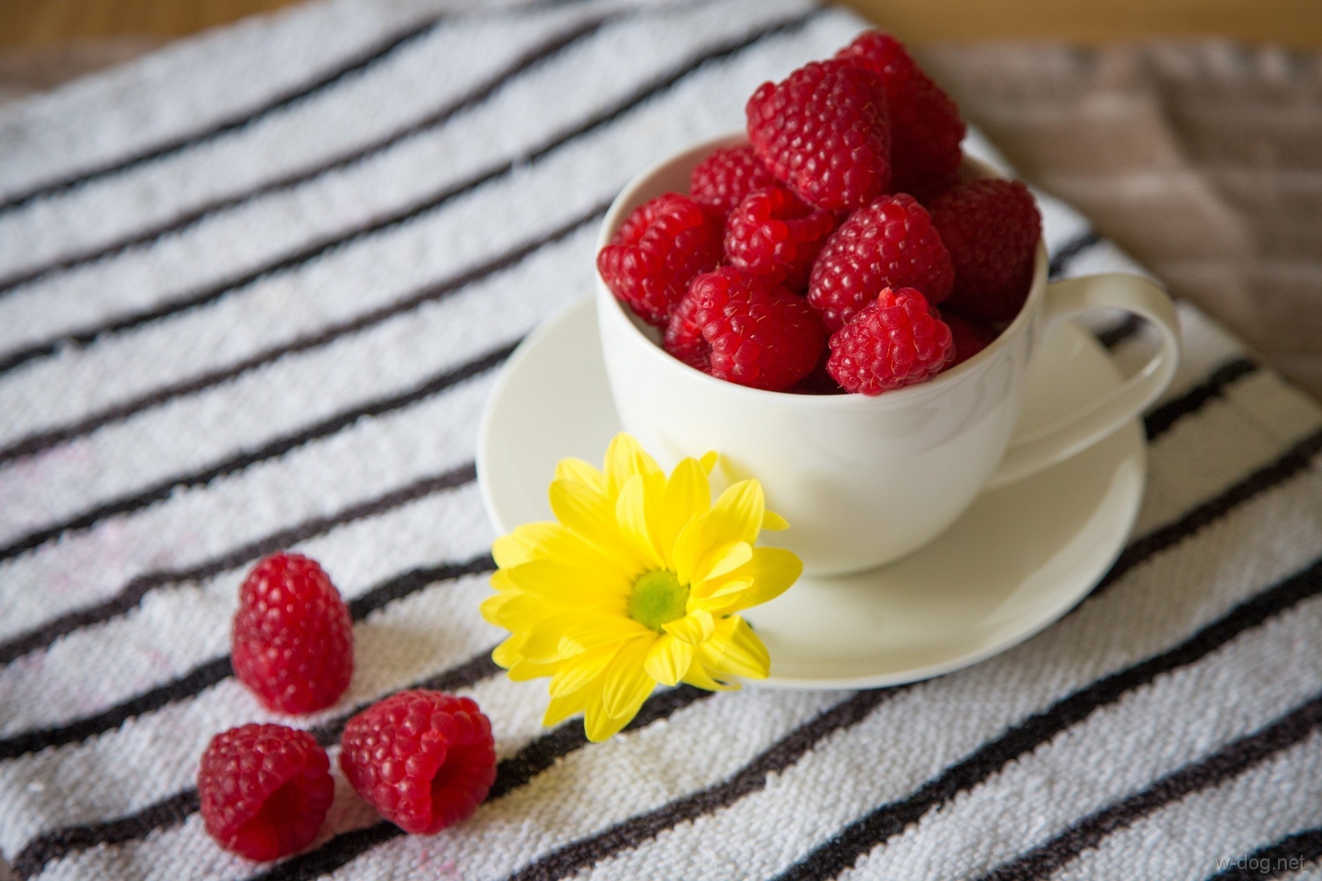 Обои цветок, малина, красная, блюдце, ягоды, чашка, flower, raspberry, red, saucer, berries, cup разрешение 1920x1280 Загрузить