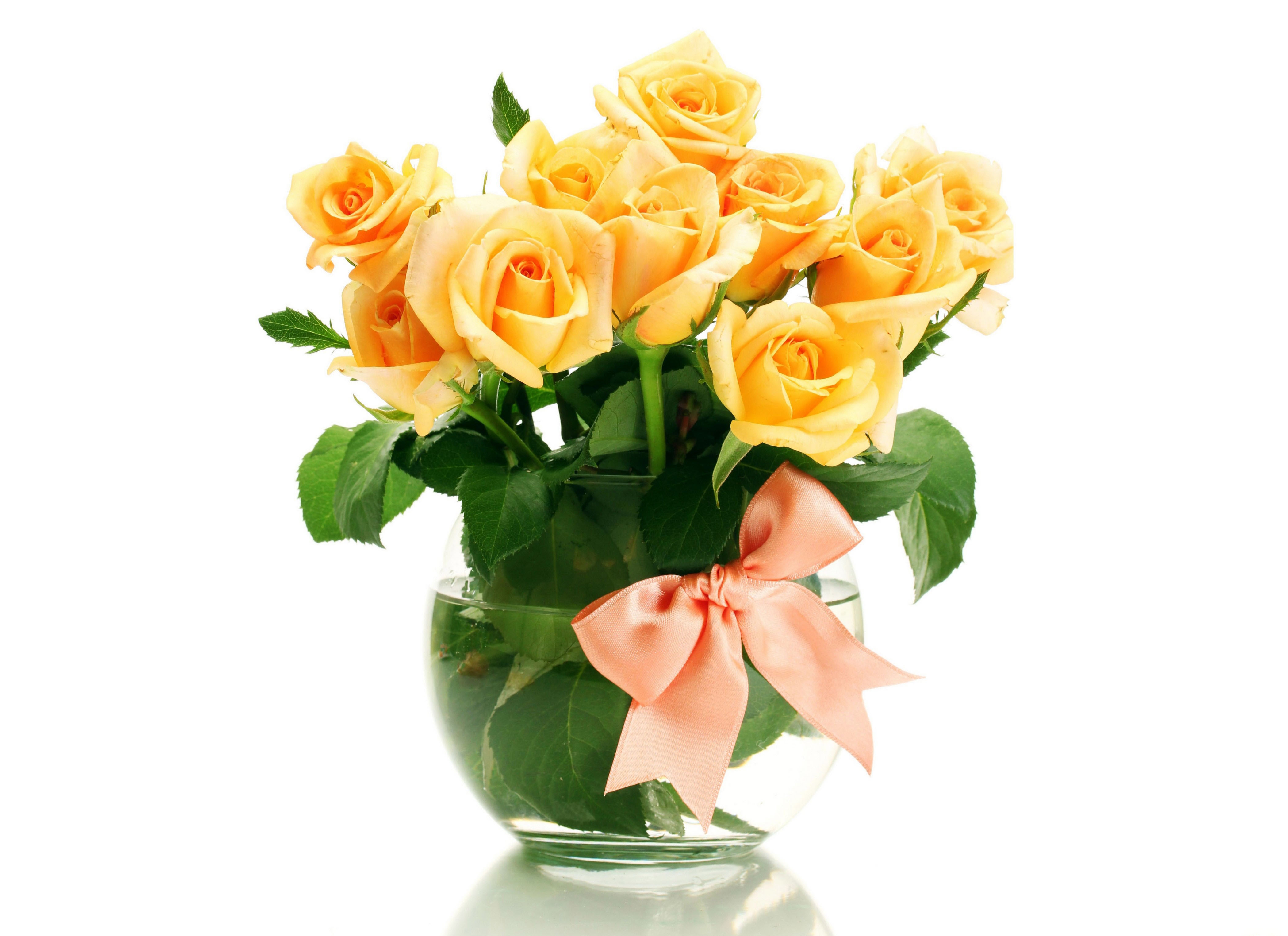 Обои цветы, бант, розы, лепестки, оранжевый, букет, белый фон, ваза, желтые, flowers, bow, roses, petals, orange, bouquet, white background, vase, yellow разрешение 4200x3050 Загрузить