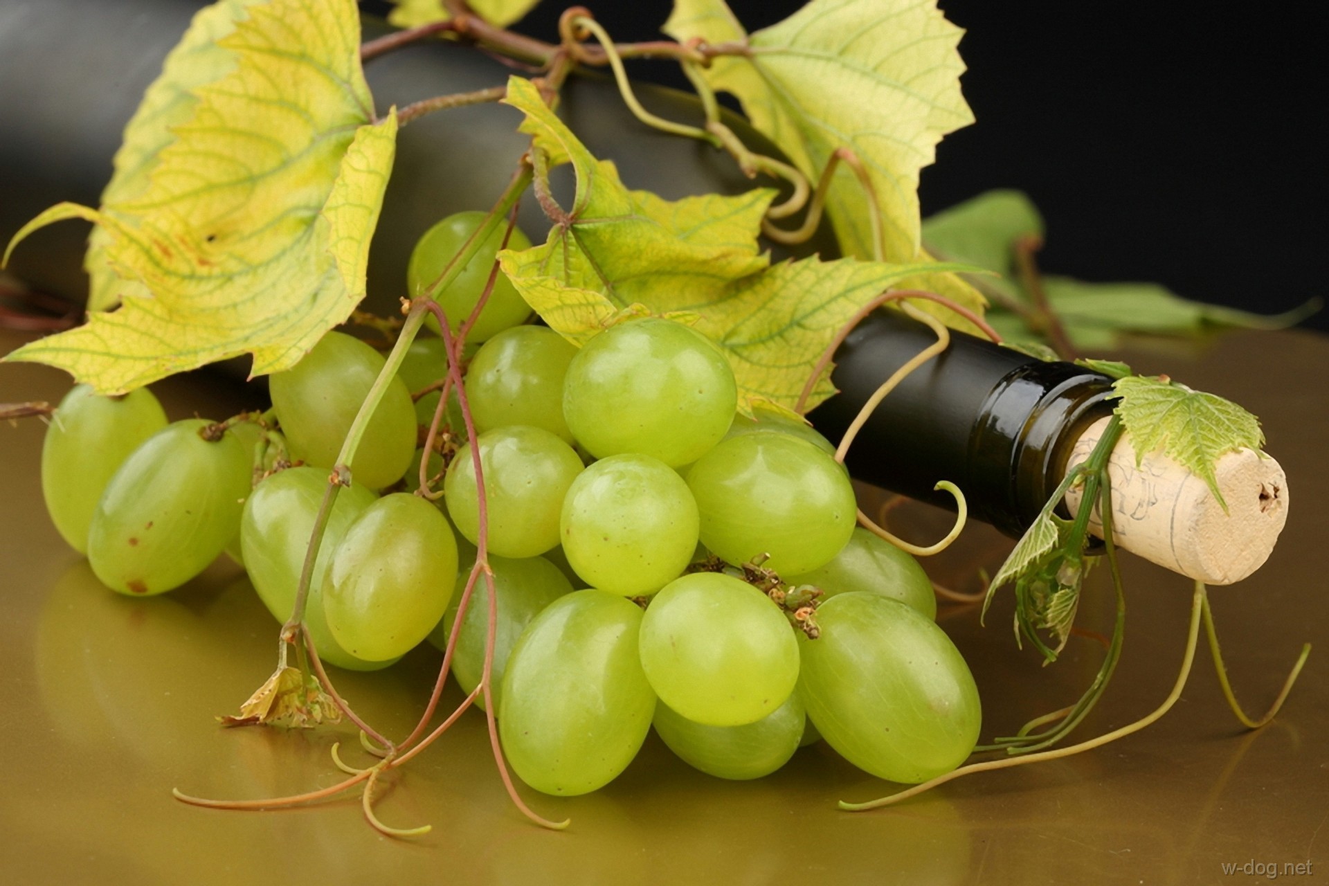 Обои листья, виноград, белый, вино, белое, бутылка, усики, пробка, leaves, grapes, white, wine, bottle, antennae, tube разрешение 1920x1280 Загрузить
