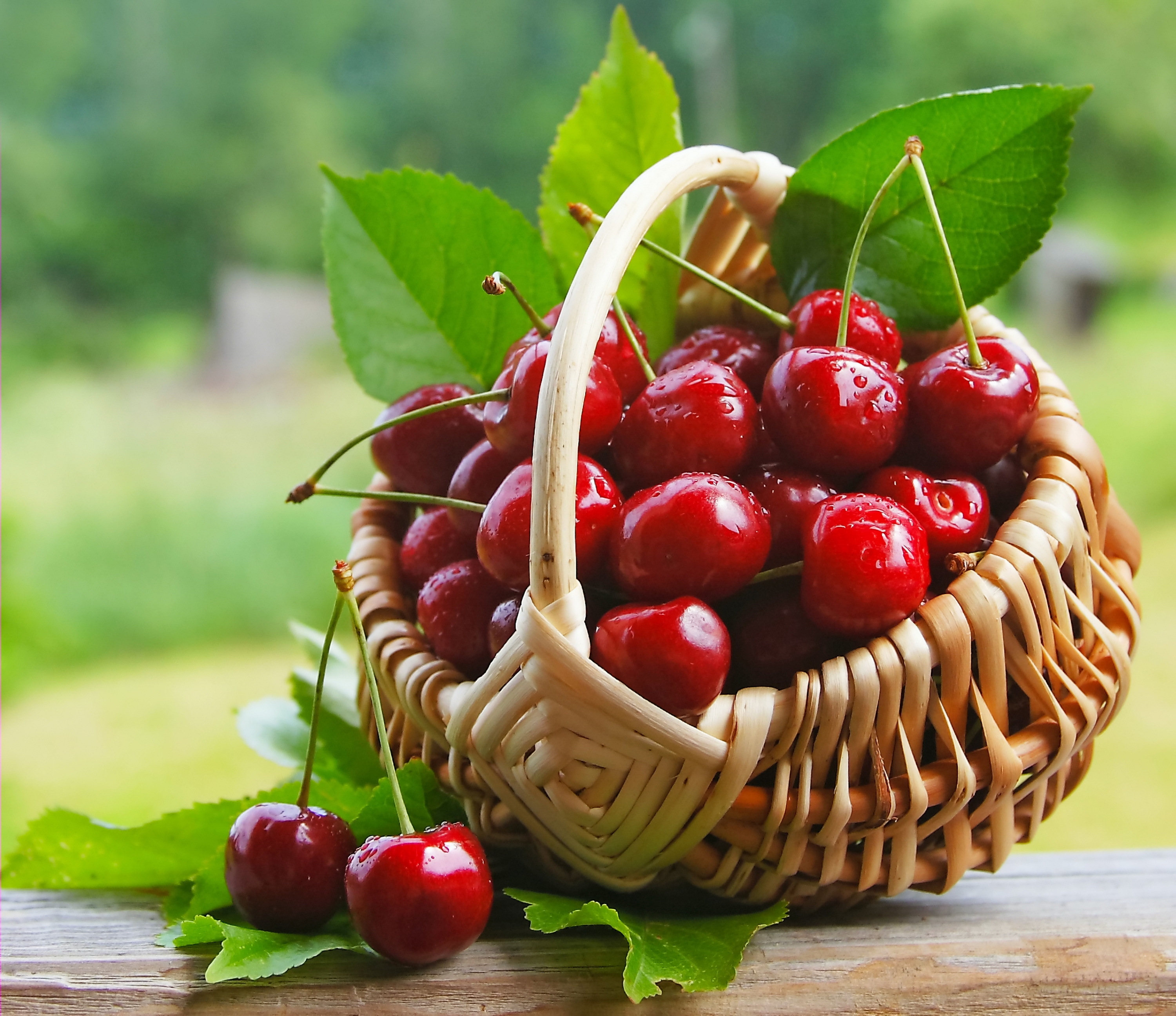 Обои черешня, ягоды, лесные ягоды, вишня, корзинка, вишенка, парное, сладенько, cherry, berries, basket, fresh, sweet разрешение 3000x2593 Загрузить