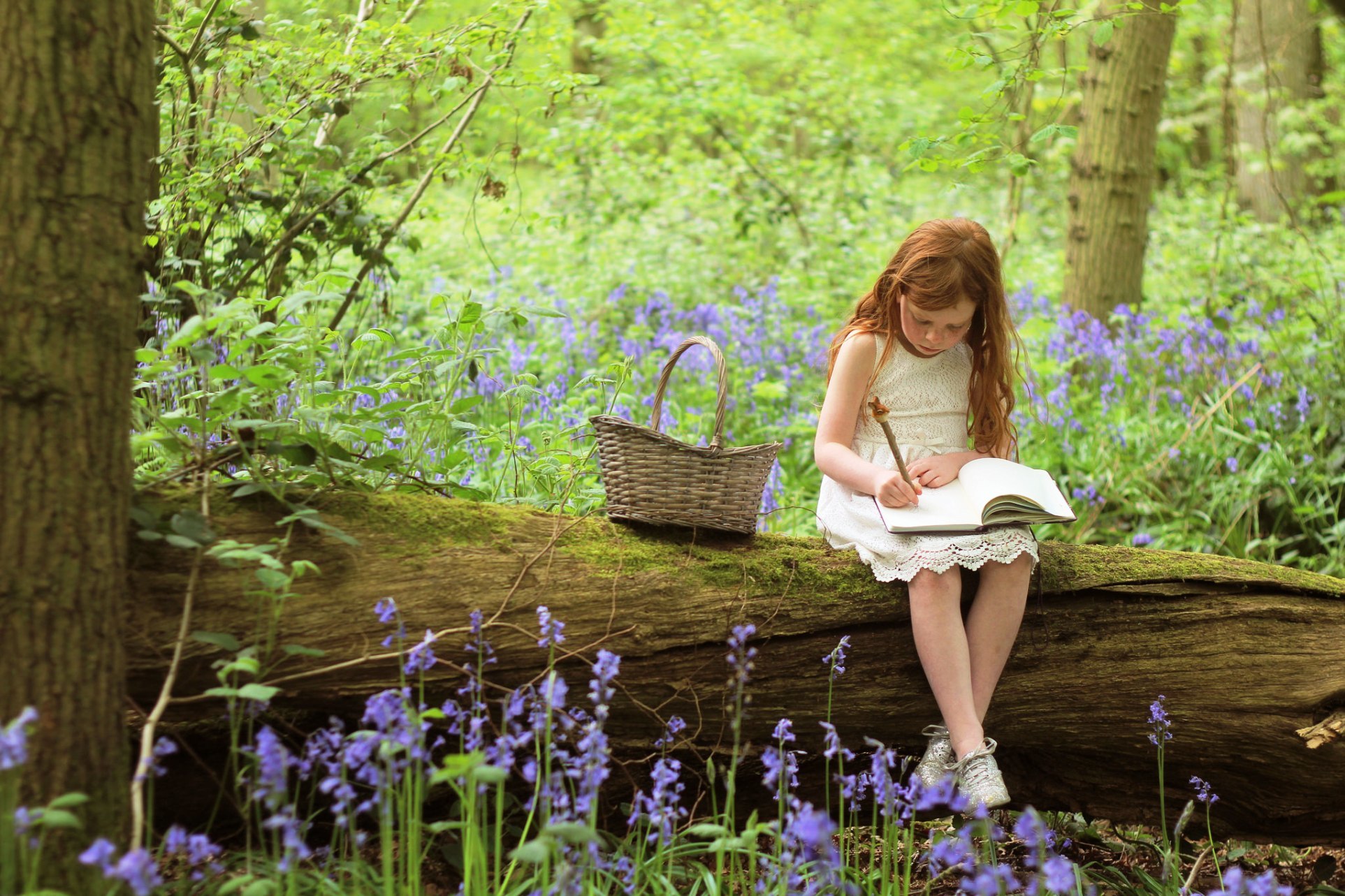 Обои лес, девочка, корзина, тетрадь, forest, girl, basket, notebook разрешение 1925x1283 Загрузить