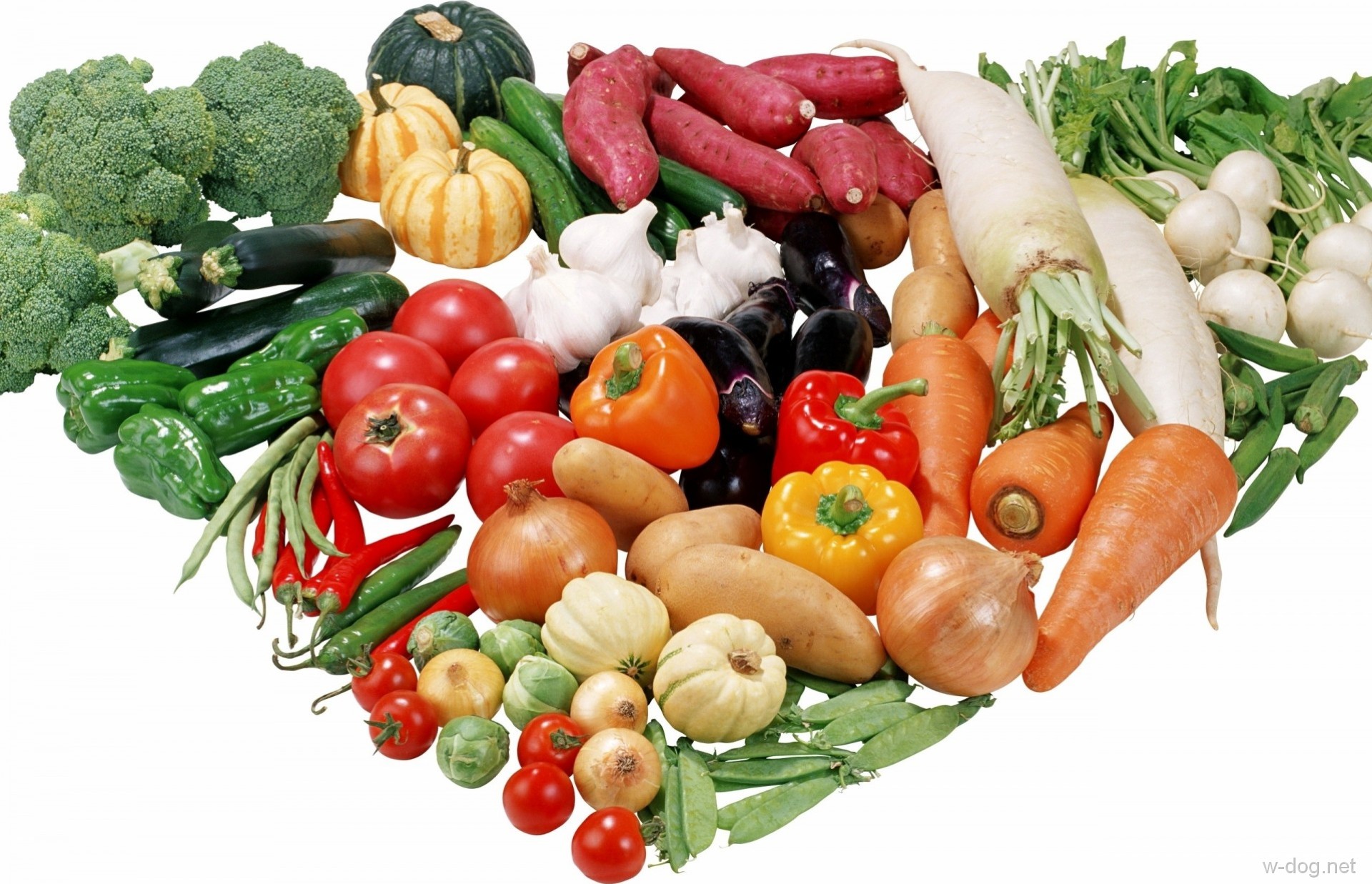 Обои лук, капуста, овощи, картофель, горошек, чеснок, помидоры, брокколи, морковь, огурцы, тыква, фасоль, баклажаны, редис, перец, bow, cabbage, vegetables, potatoes, polka dot, garlic, tomatoes, broccoli, carrots, cucumbers, pumpkin, beans, eggplant, radishes, pepper разрешение 1920x1237 Загрузить