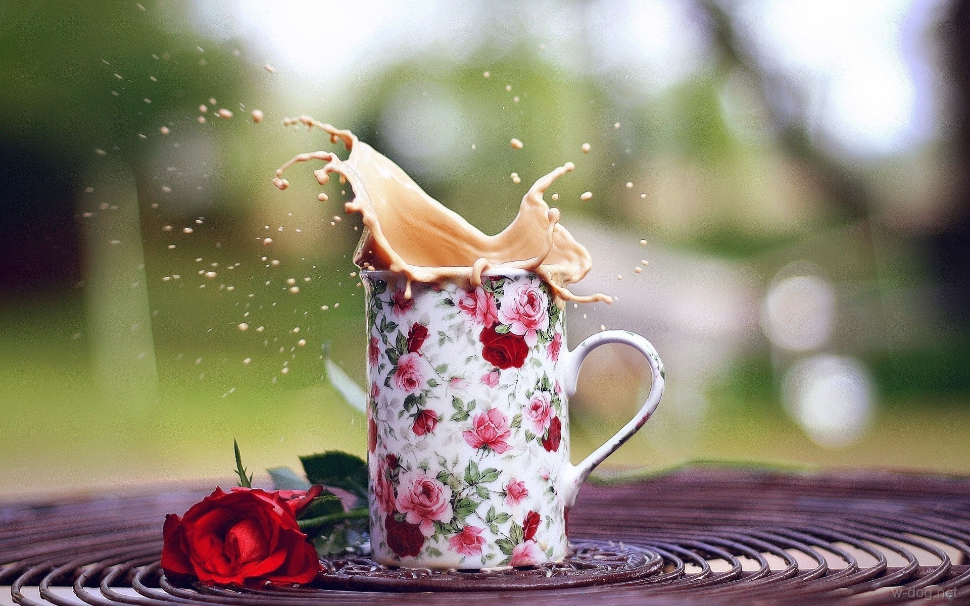 Обои роза, кофе, брызги, кружка, настроения, чашка, розочка, rose, coffee, squirt, mug, mood, cup, rosette разрешение 1920x1200 Загрузить