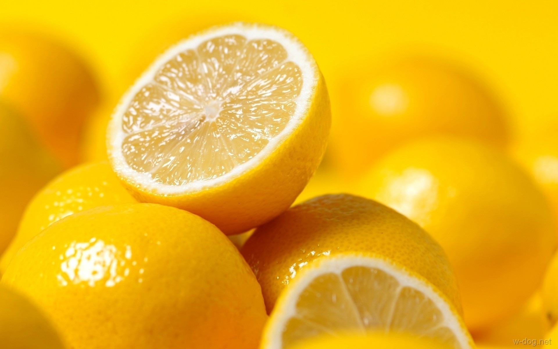 фотообои лимон
