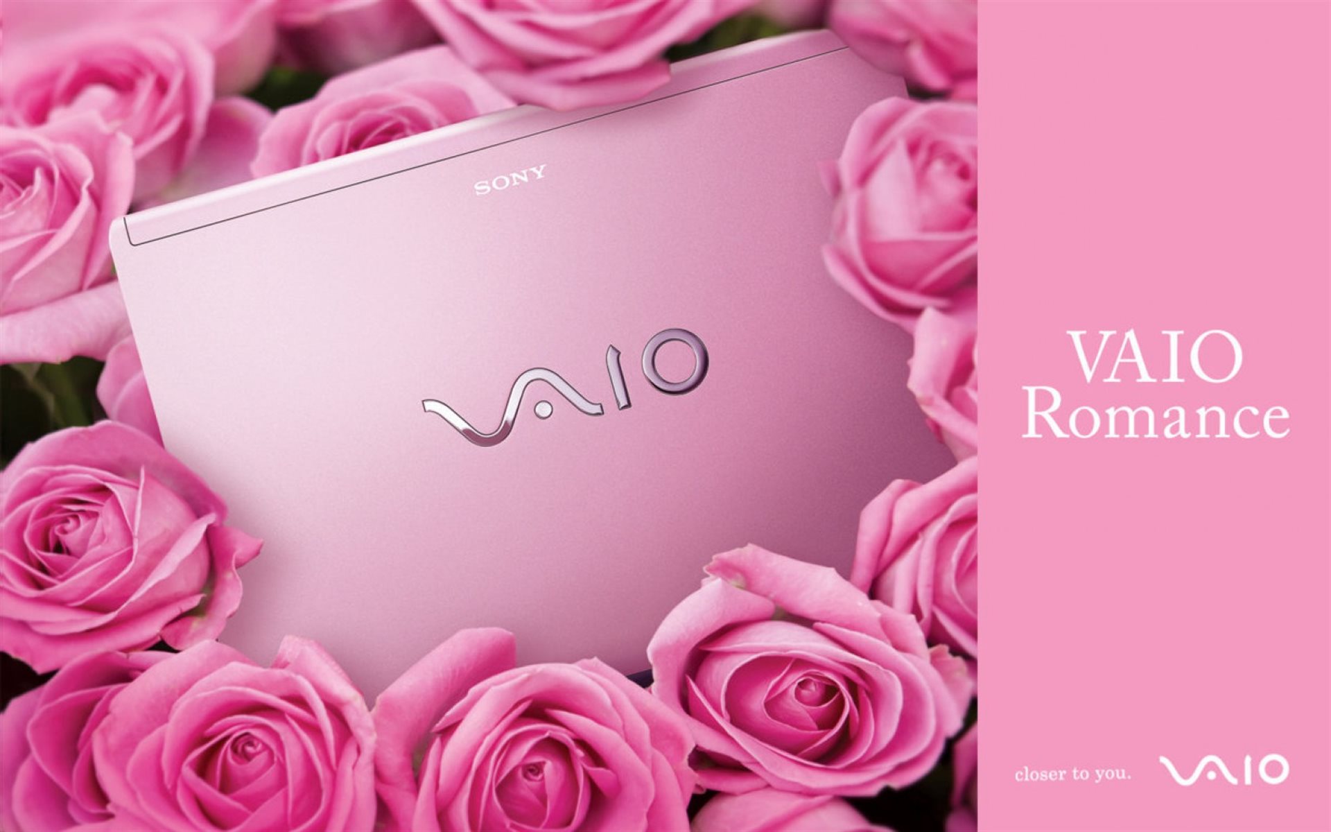 Обои цветы, розы, hi-tech, сони, vaio, калькулятор, flowers, roses, sony, calculator разрешение 1920x1200 Загрузить